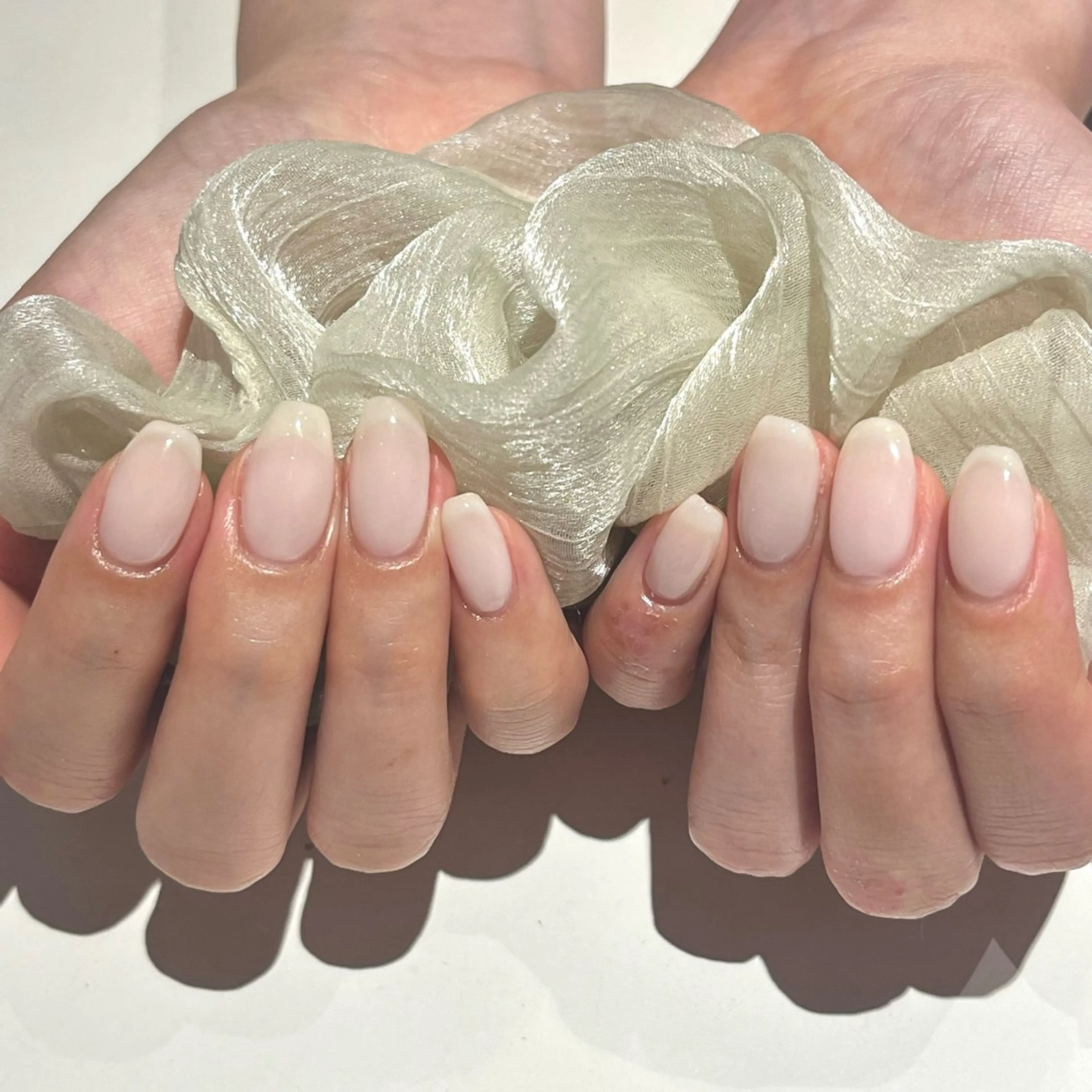 ネイル ワンカラーネイル 坂口 莉愛のネイルデザイン