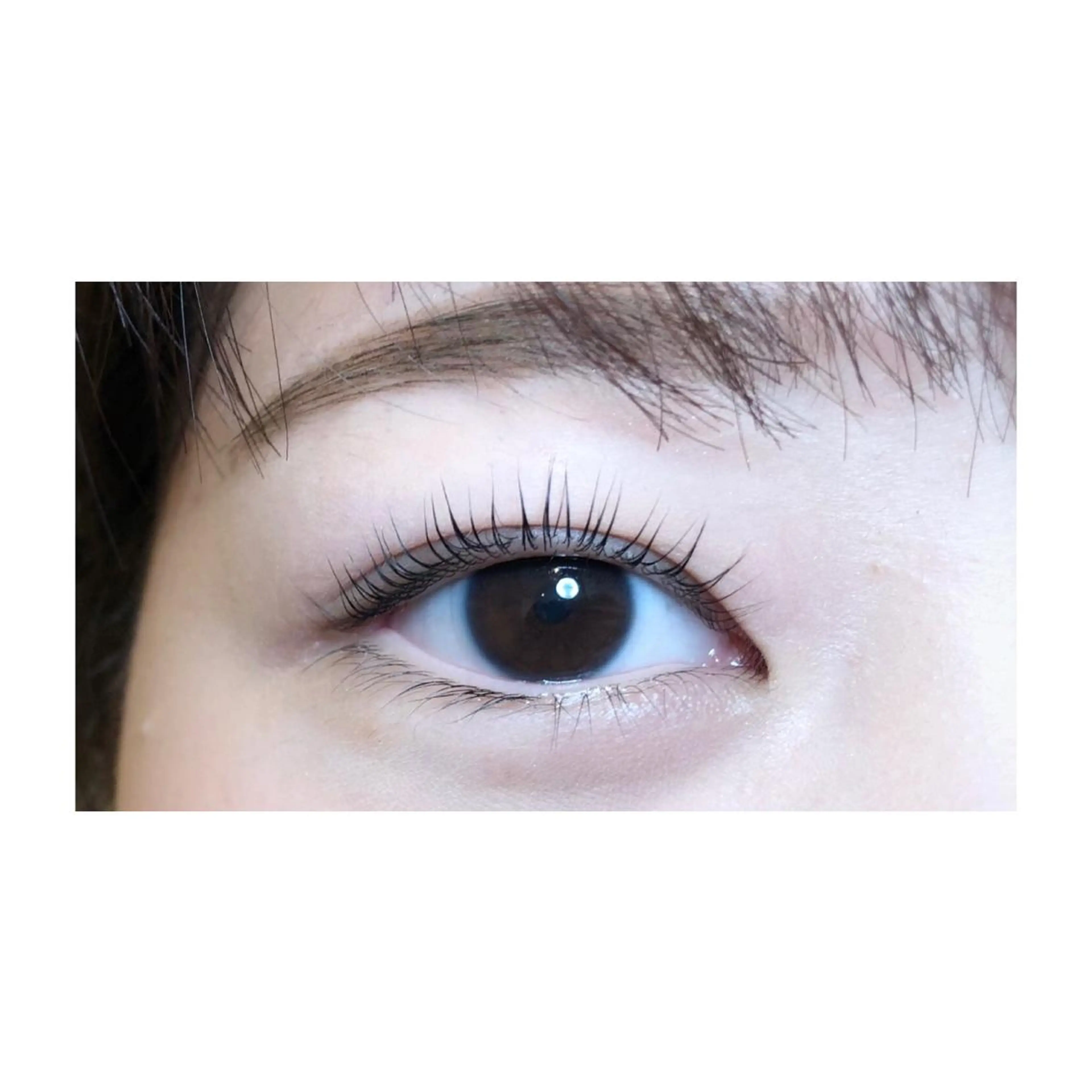 マツエク・マツパ Lanhr所属・〔Lanhr〕 🍋akiのマツエク・マツパデザイン