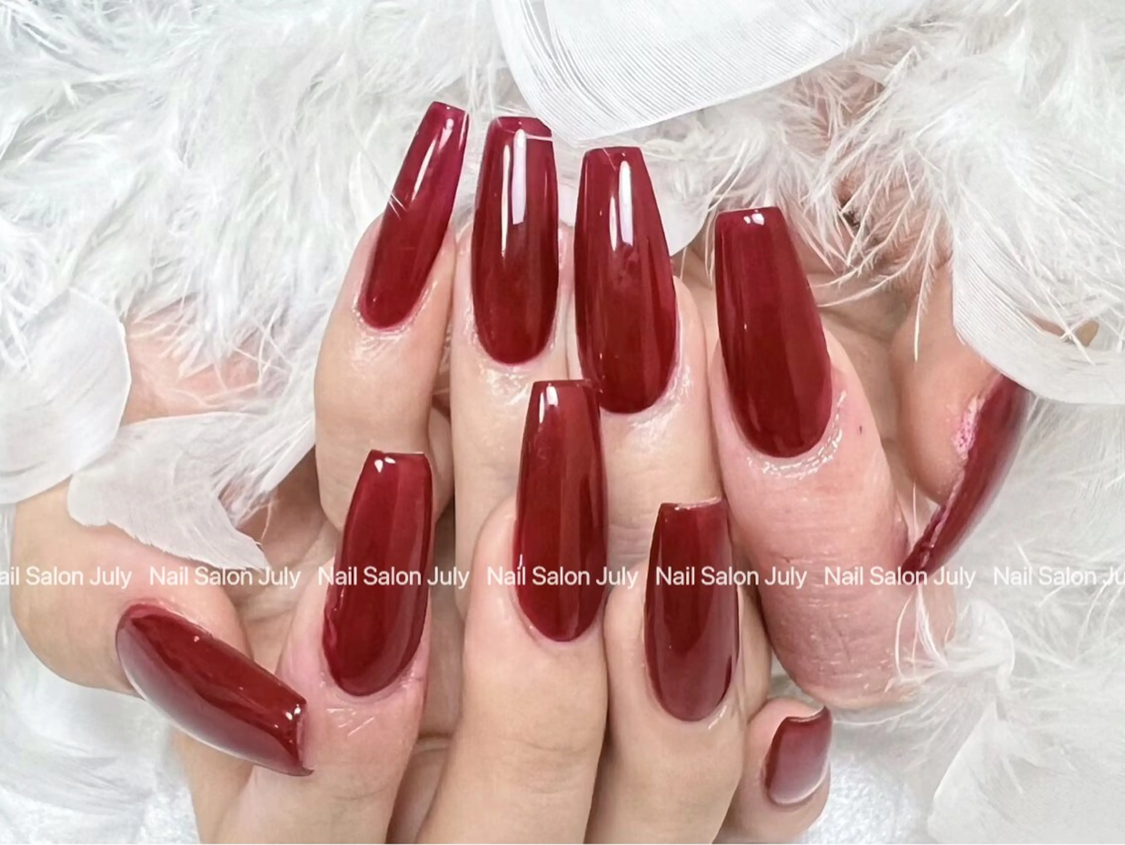 チップワンカラーの写真