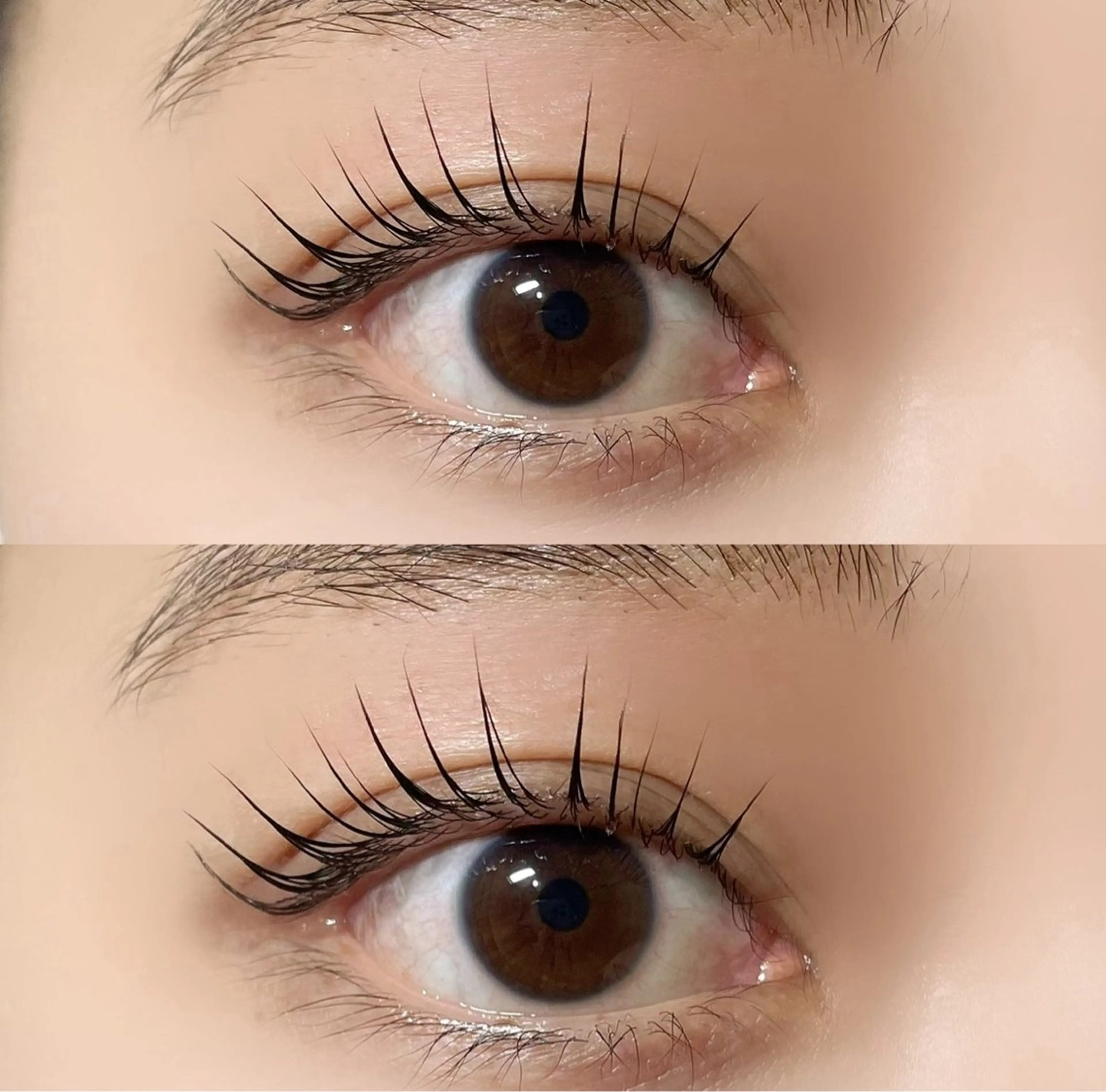 マツエク・マツパ パリジェンヌラッシュリフト 🧡MISUZU 京都Two🧡のマツエク・マツパデザイン