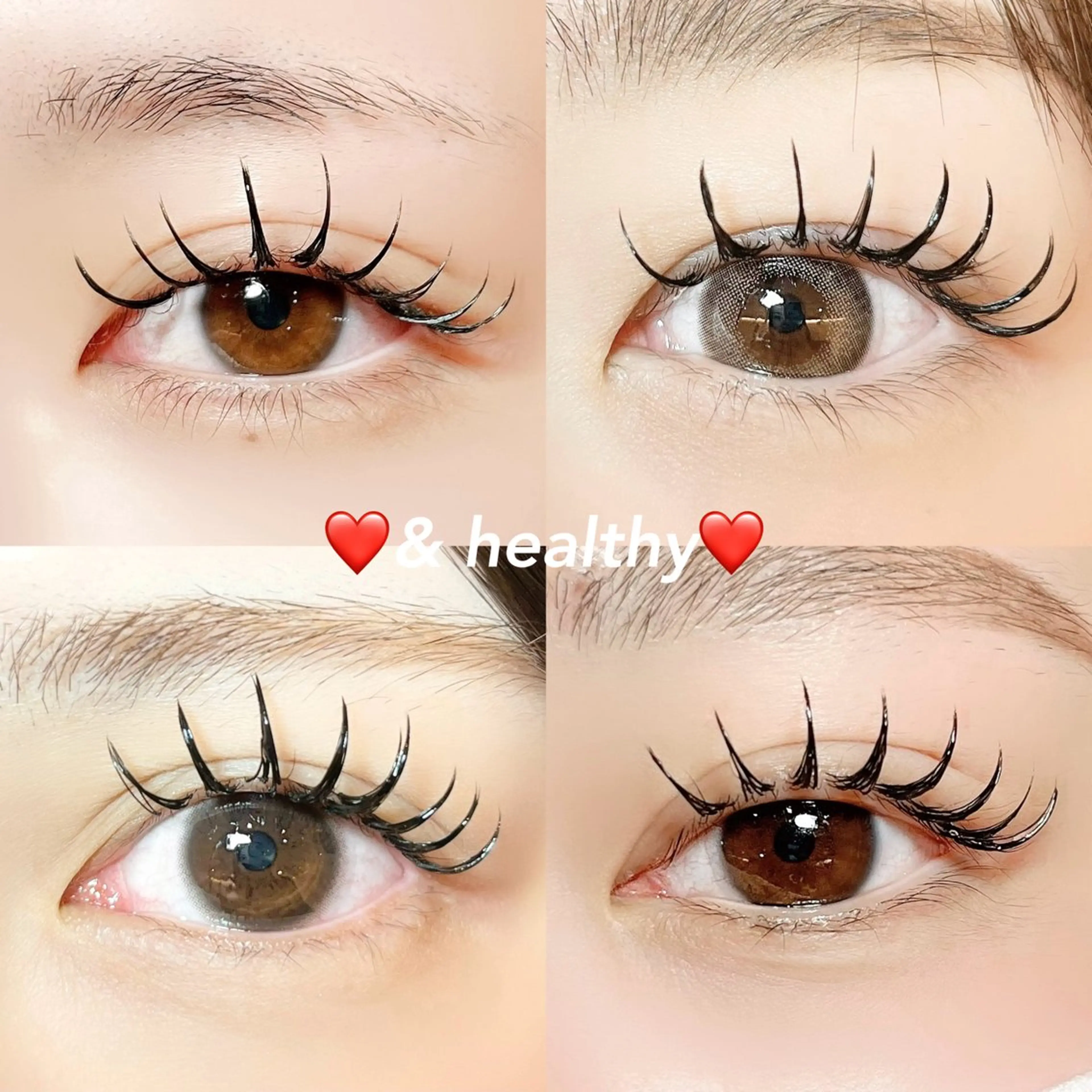 ãããšã¯ã»ããã sola: neoliveçç°ã®ãããšã¯ã»ããããã¶ã€ã³