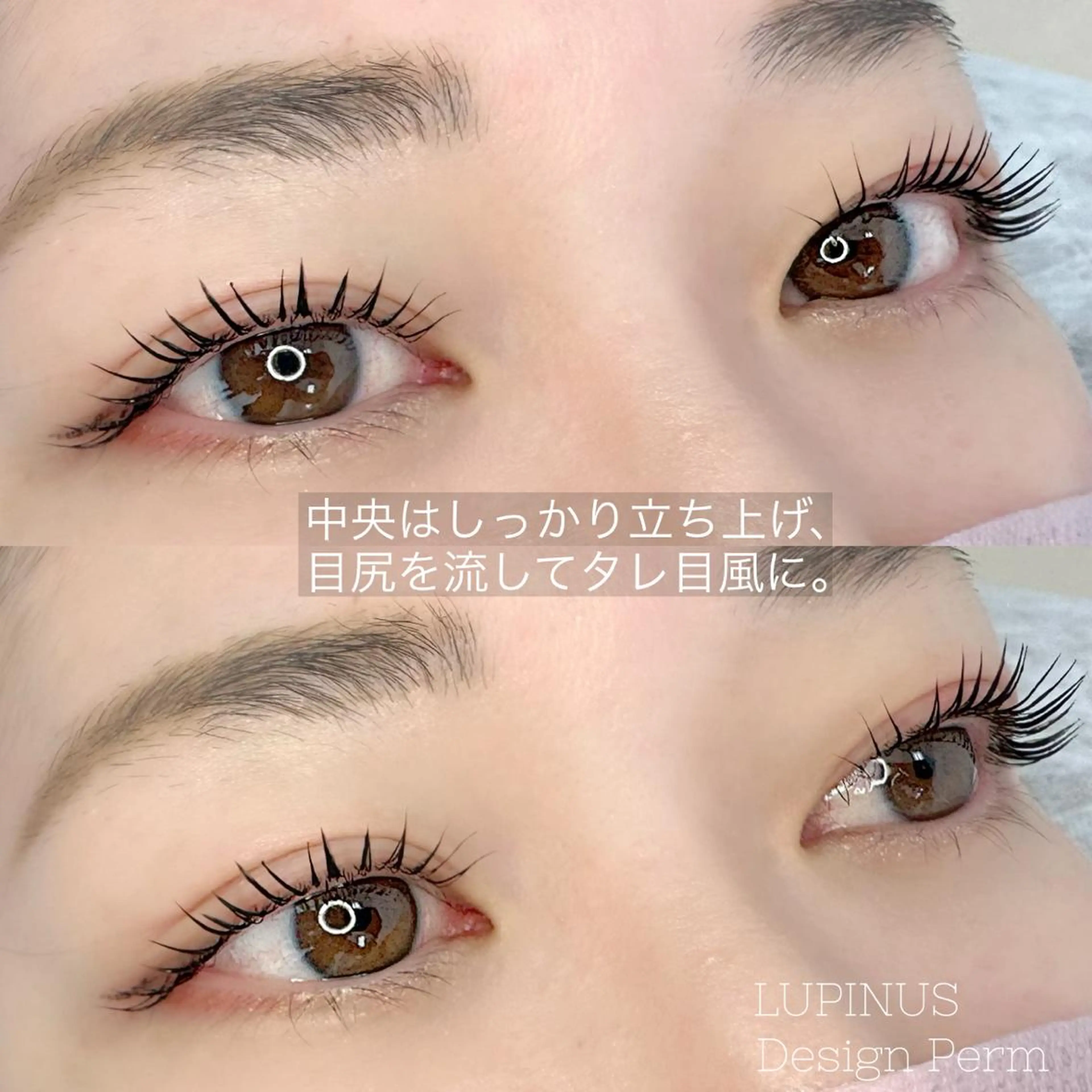 マツエク・マツパ LAND【ランド】 小鹿のマツエク・マツパデザイン