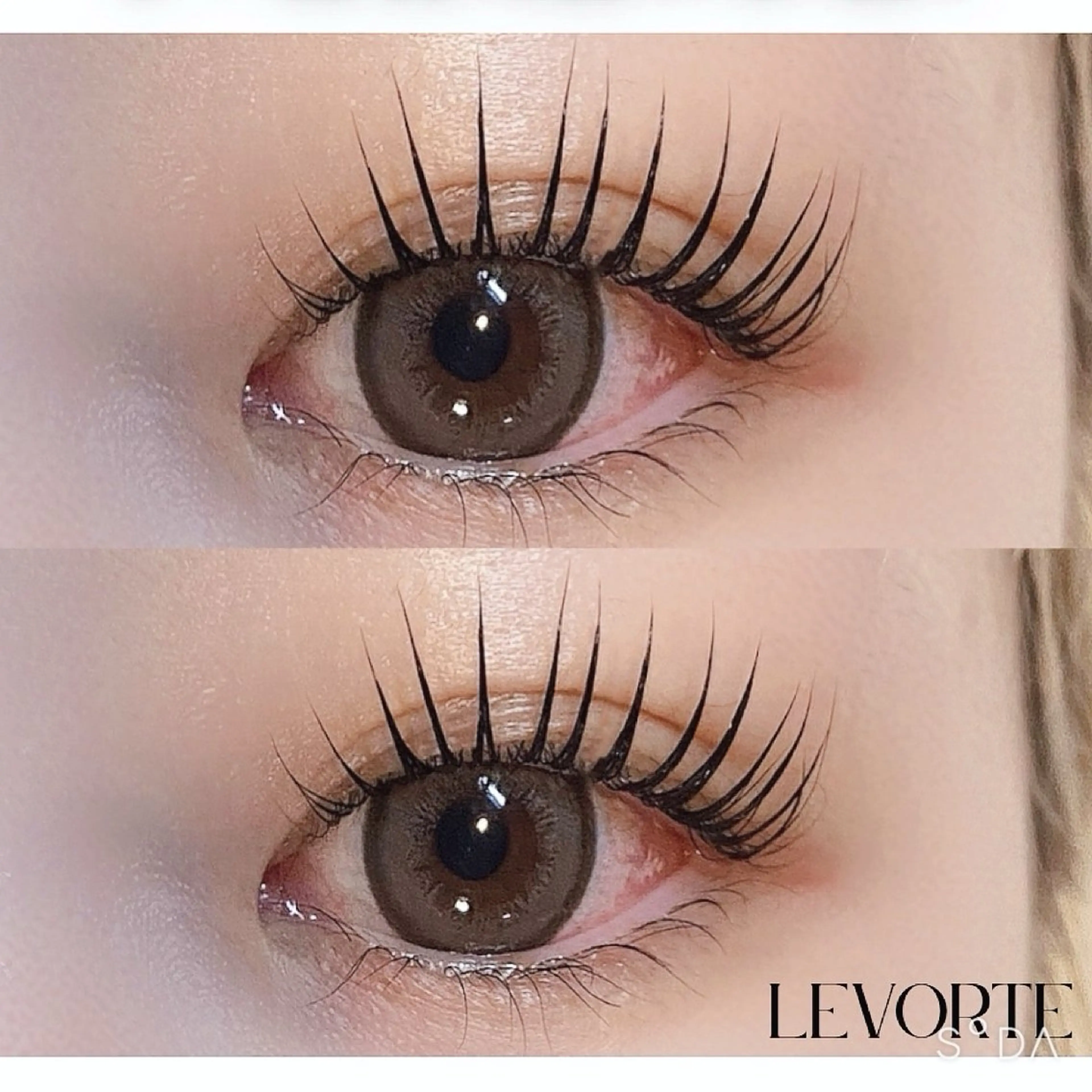 マツエク・マツパ パリジェンヌラッシュリフト 一重×まつ毛パーマ マツパ Nao店長 /ルヴォルテ大須のマツエク・マツパデザイン