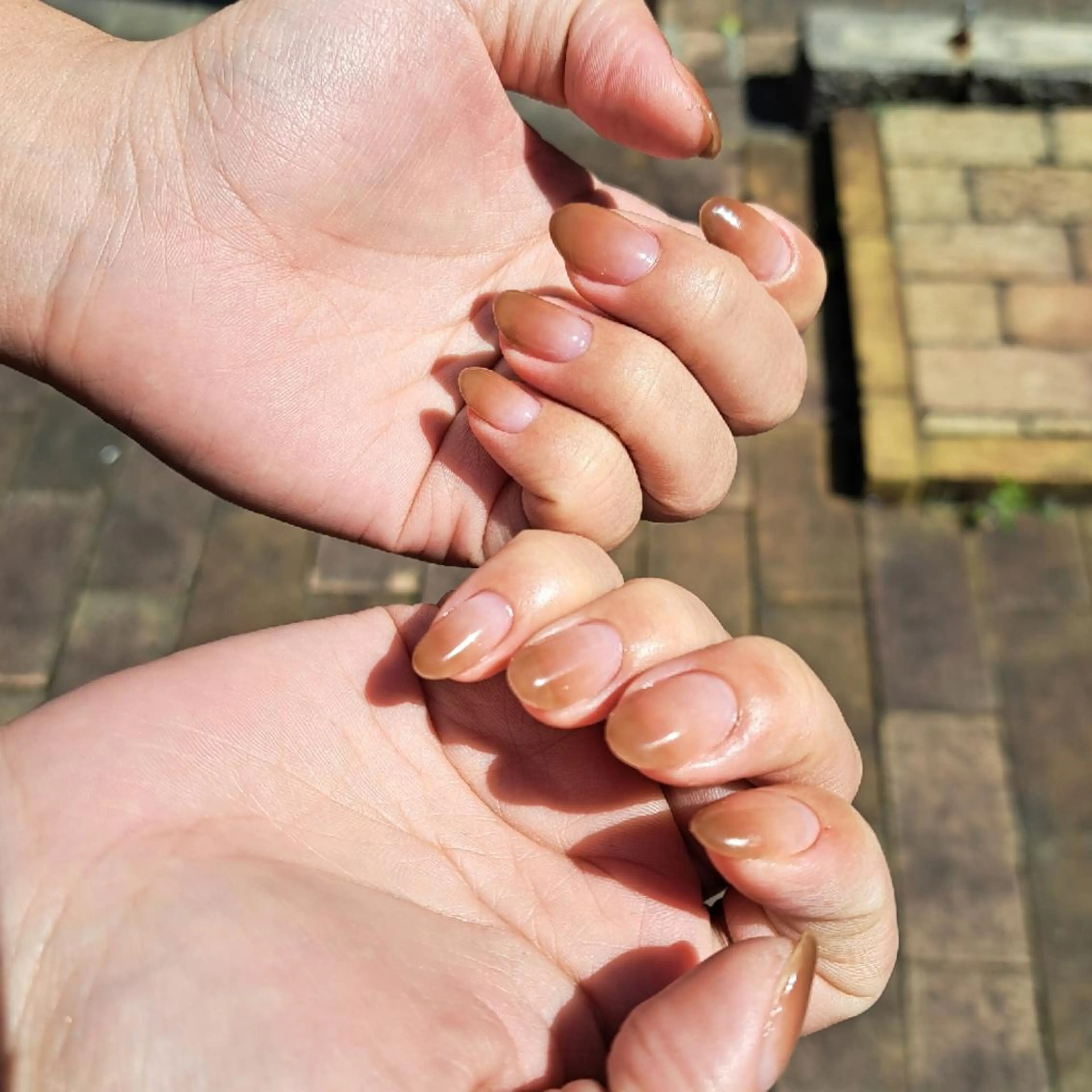 ネイル ブラウン グラデーション HAYASHI  Nのネイルデザイン