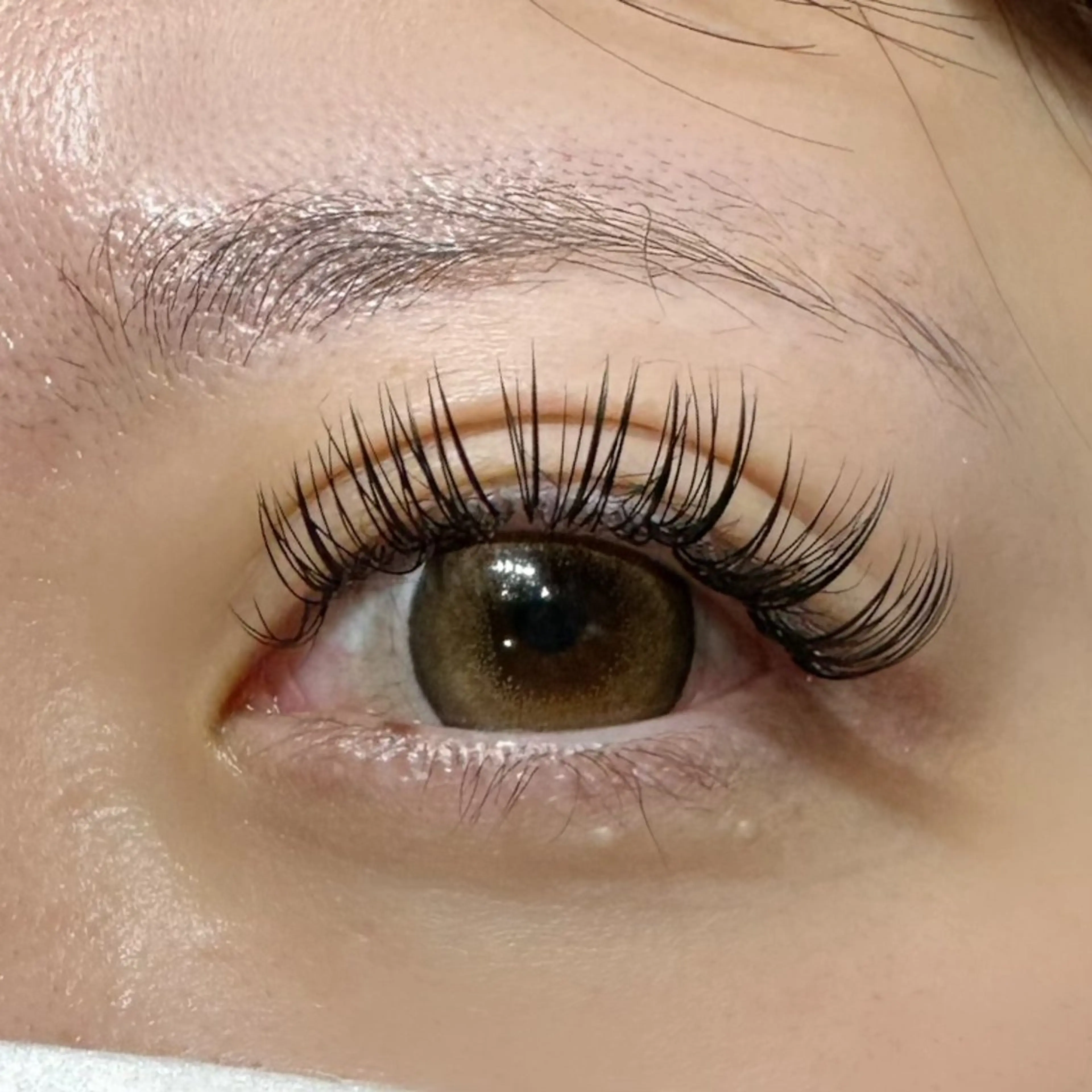 マツエク・マツパ マツエク NOA 名駅 まつげ SENA‪🎀のマツエク・マツパデザイン