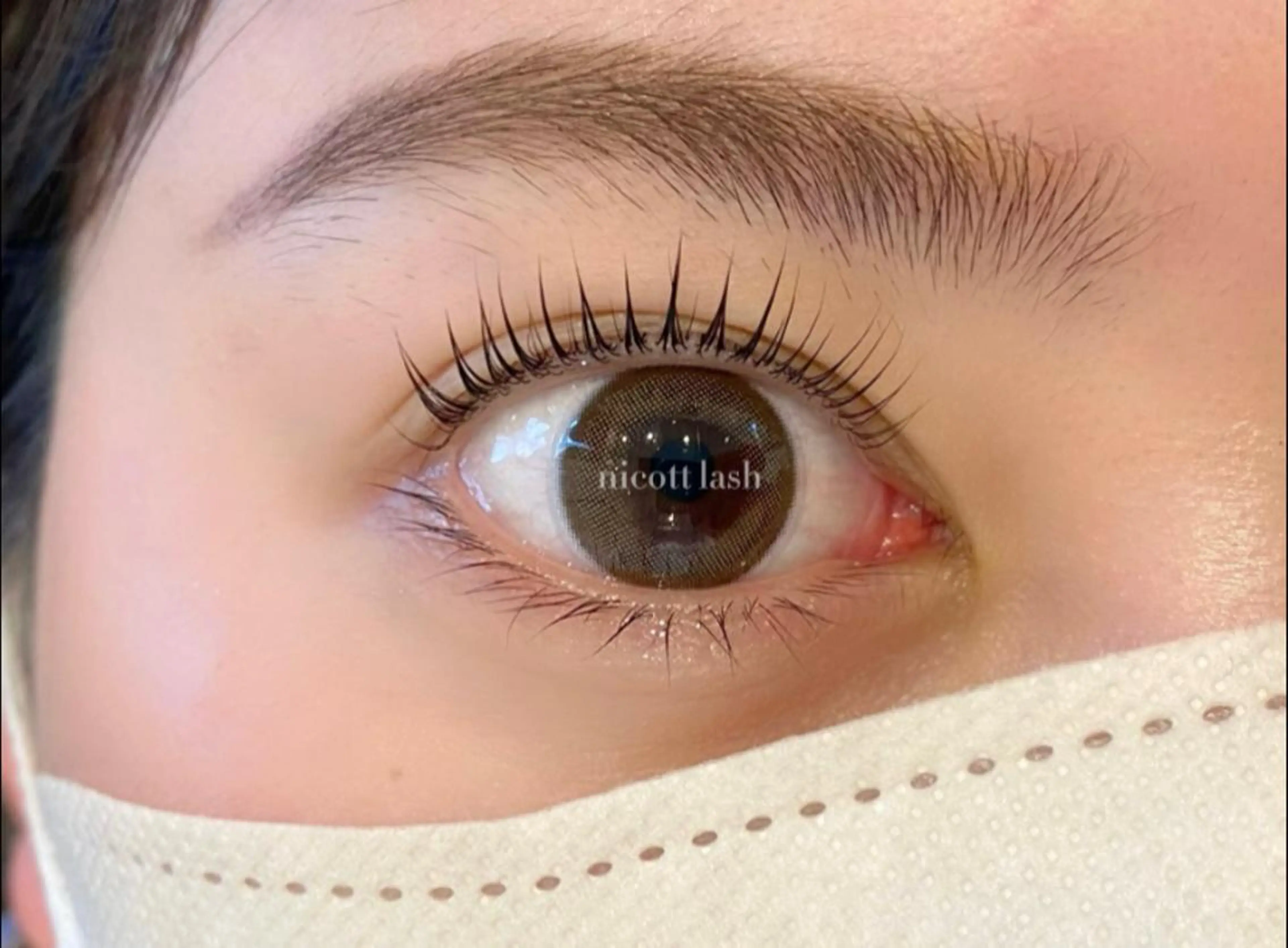 マツエク・マツパ パリジェンヌラッシュリフト デイジーラッシュ 天王寺　南のマツエク・マツパデザイン