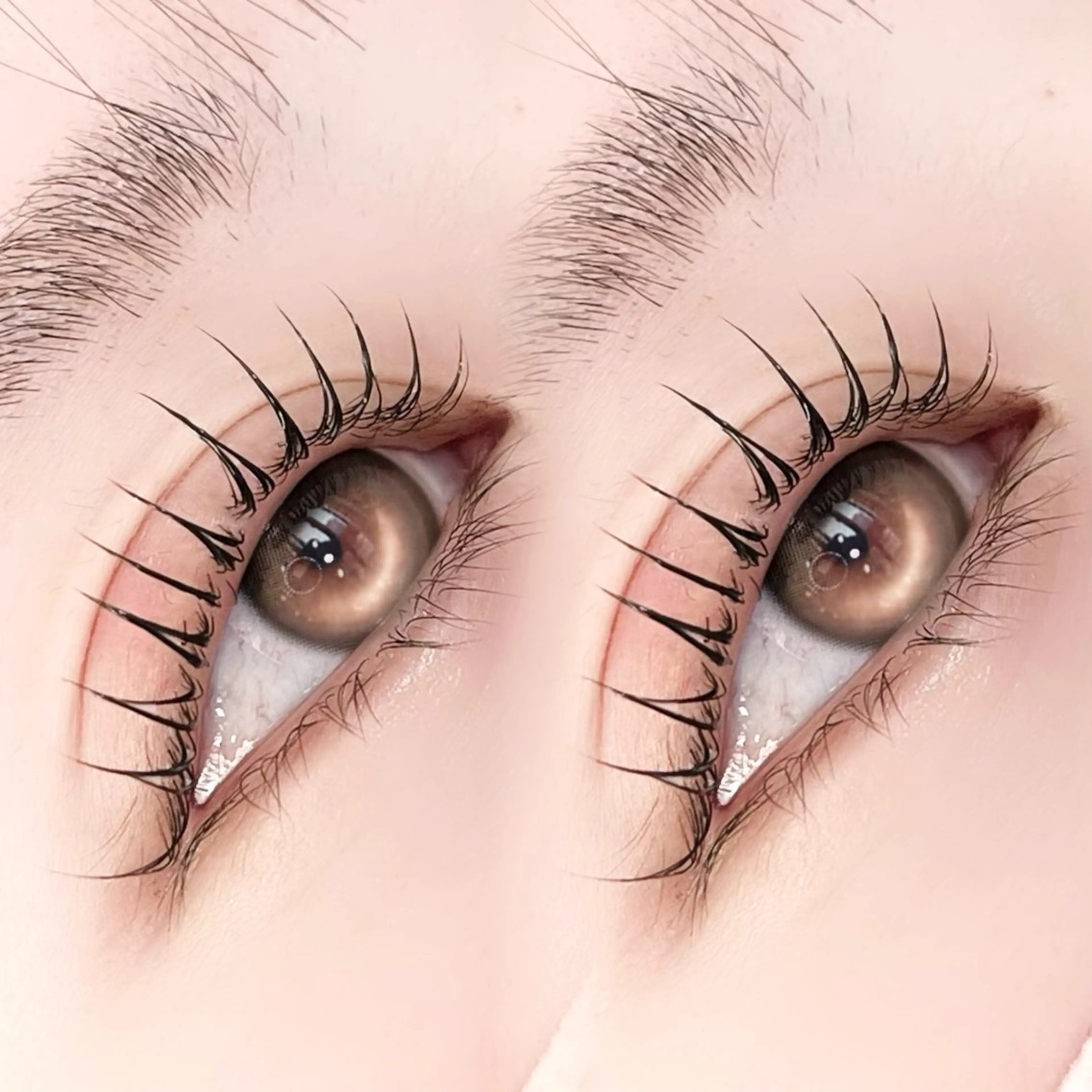 🉐ミニモ限定🉐まつ毛パーマ＋アイシャンプー＋ハイケアトリートメント🤍口コミ約束の写真