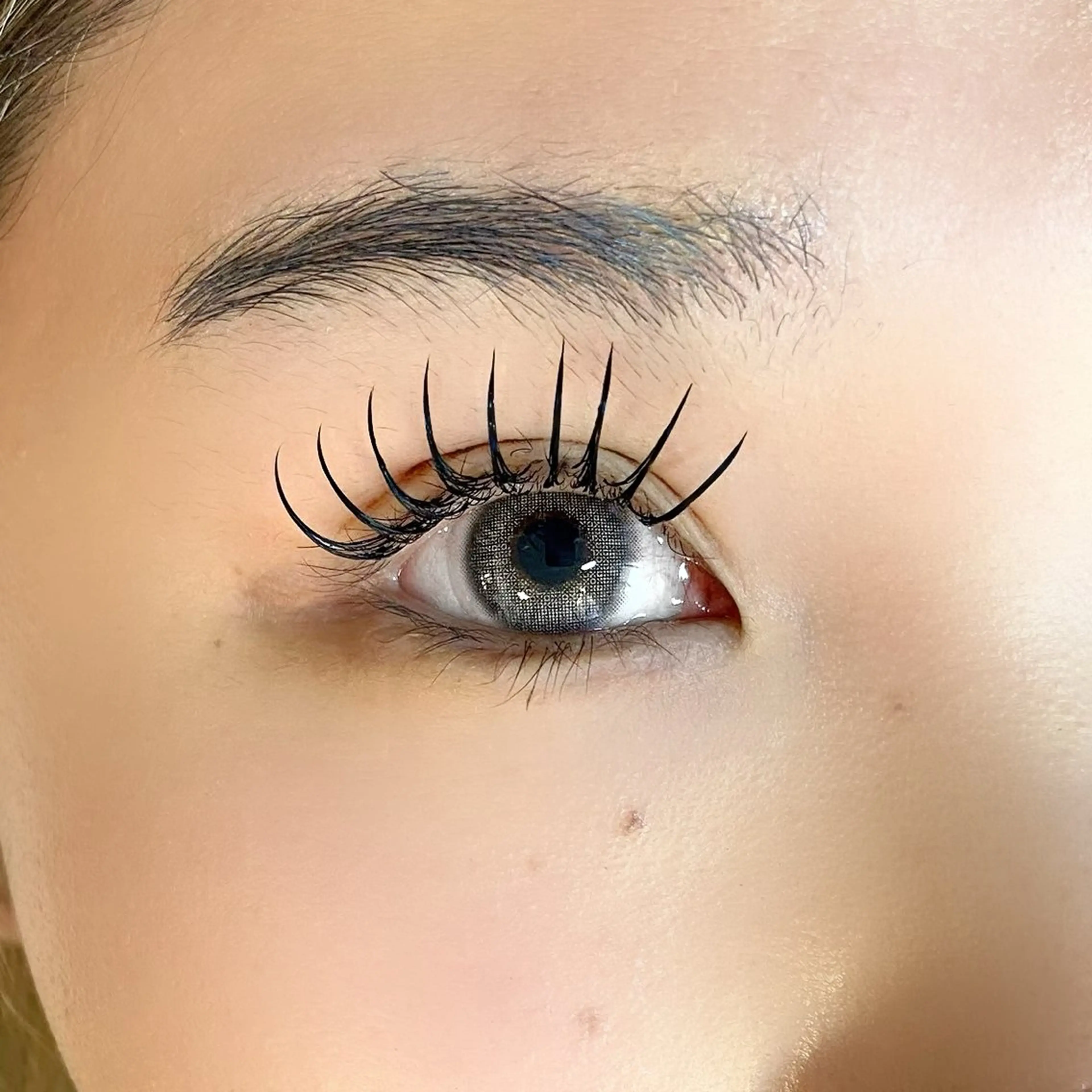 🩵【バインドロック60束(120本)】🩵の写真