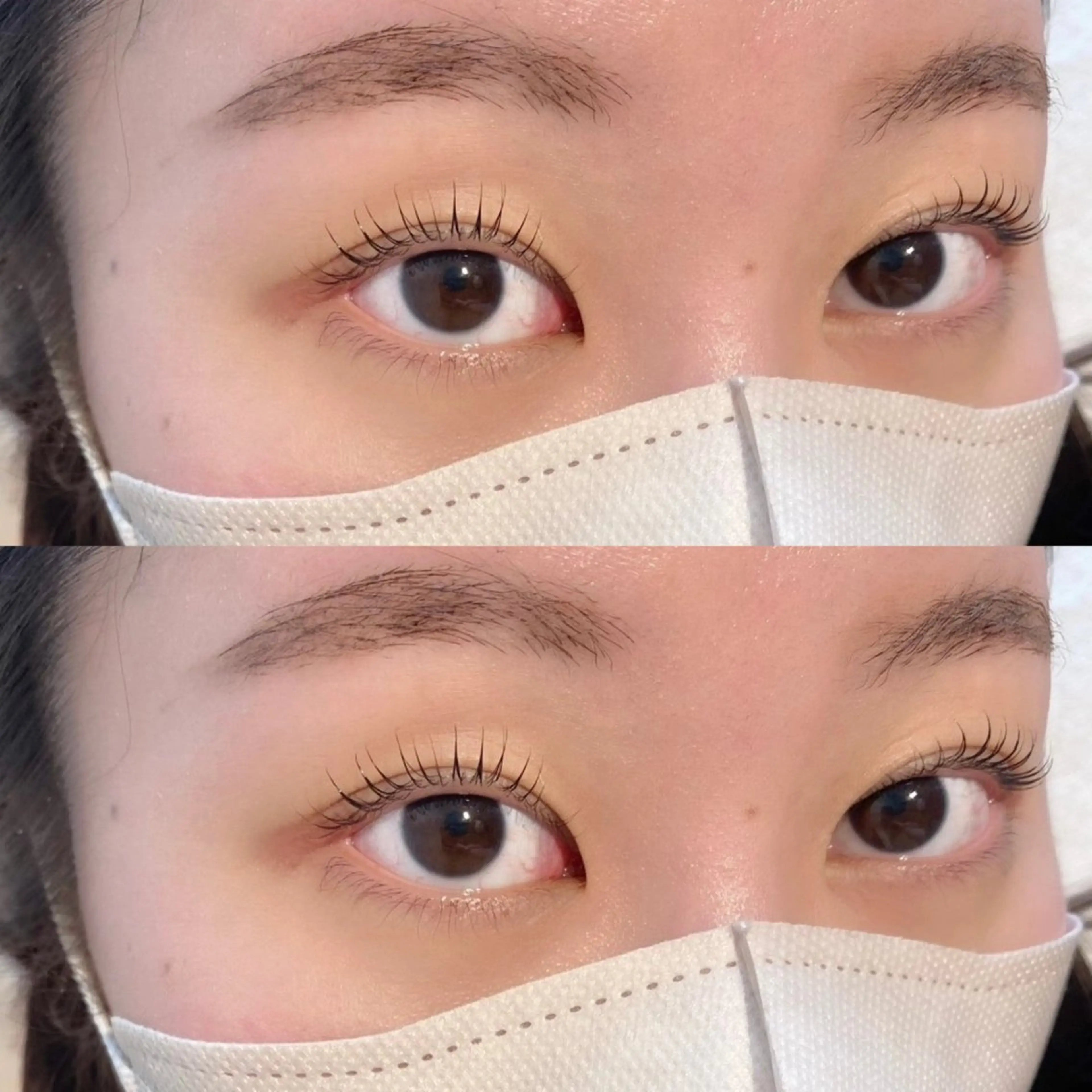 《🌿人気No.2🌼》まつ毛パーマ/コーティング付きの写真