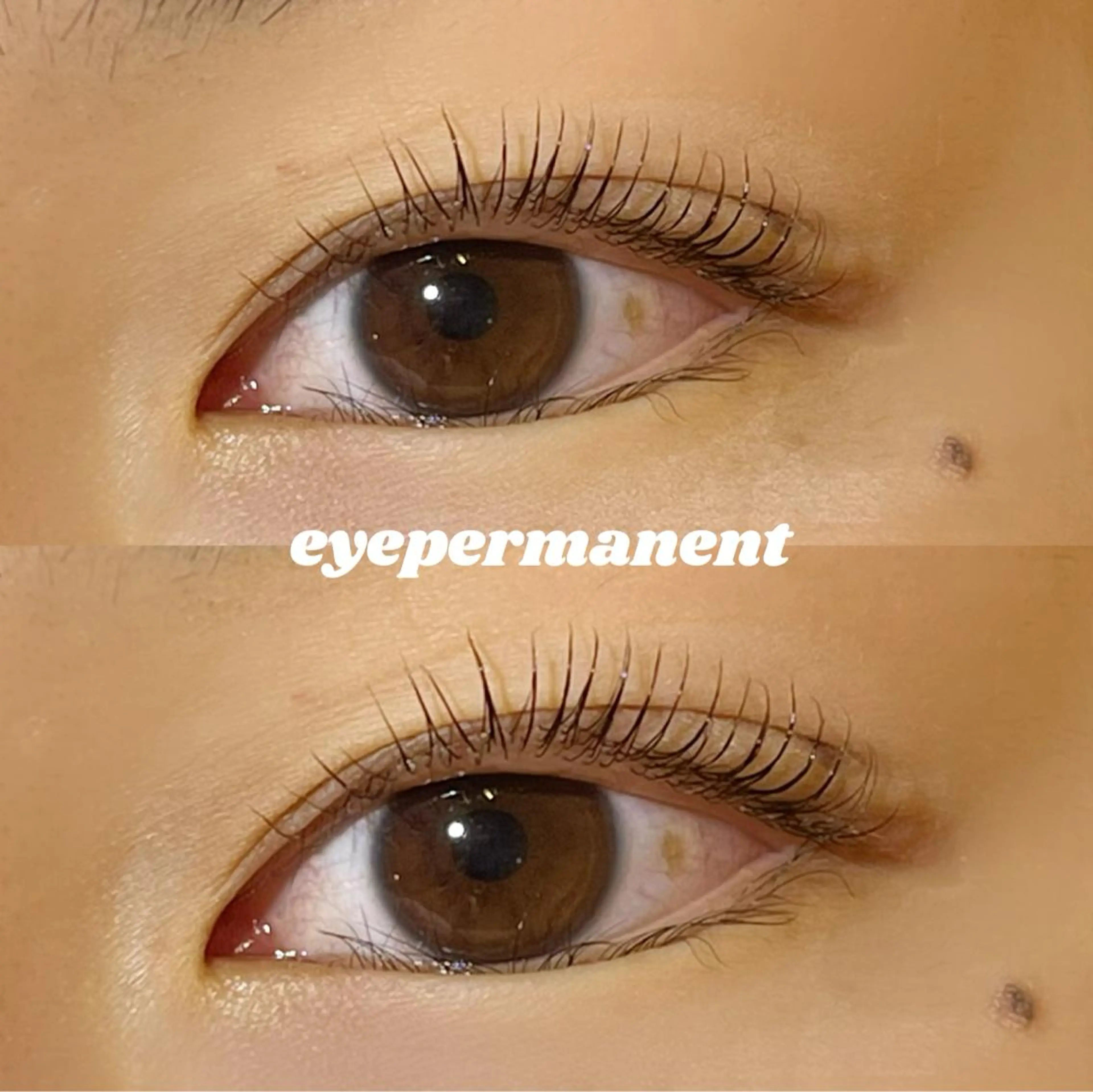 マツエク・マツパ マツパ mona 🎀韓国まつパ/眉毛のマツエク・マツパデザイン