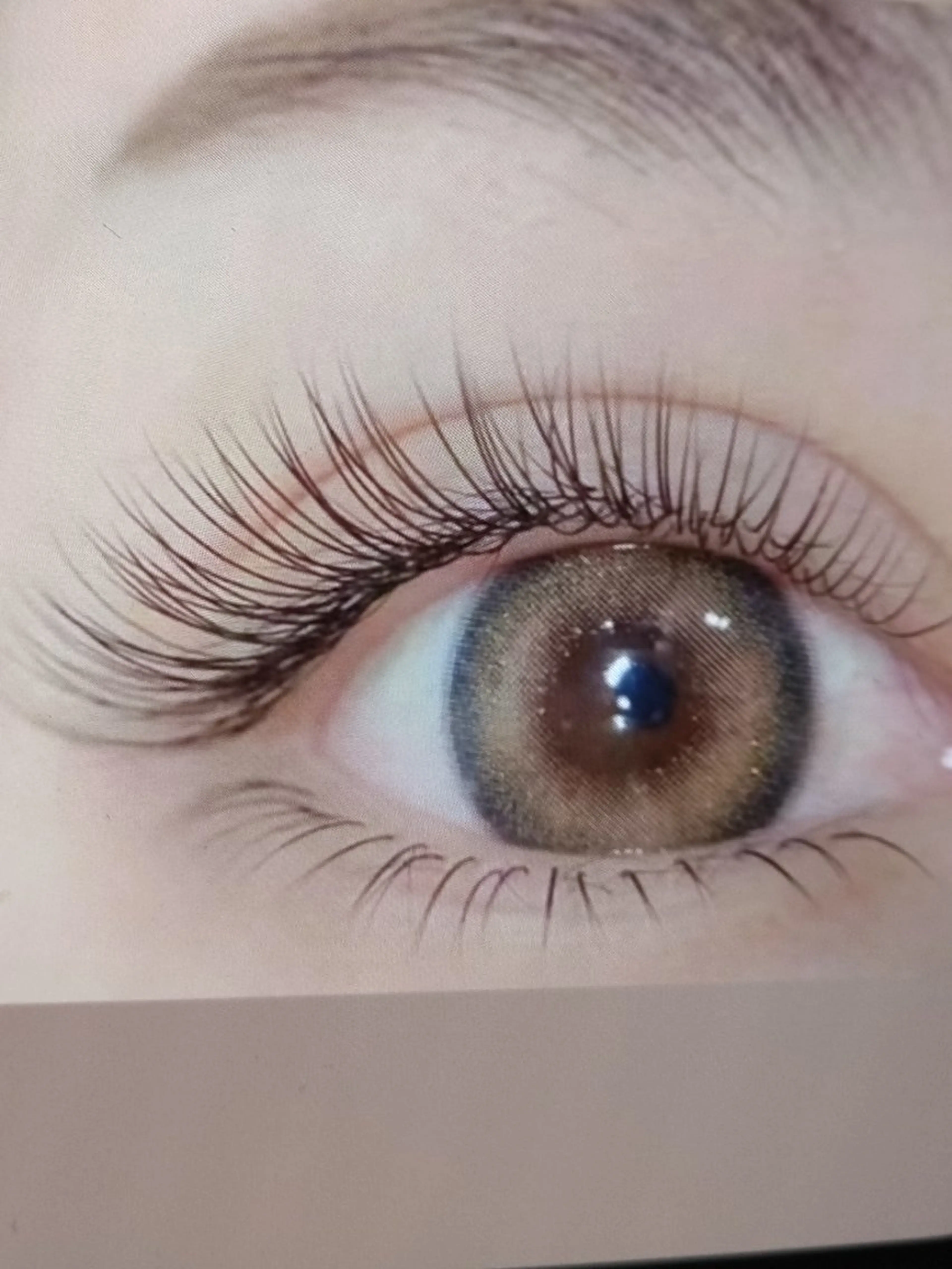 フラットラッシュ100本2500の写真