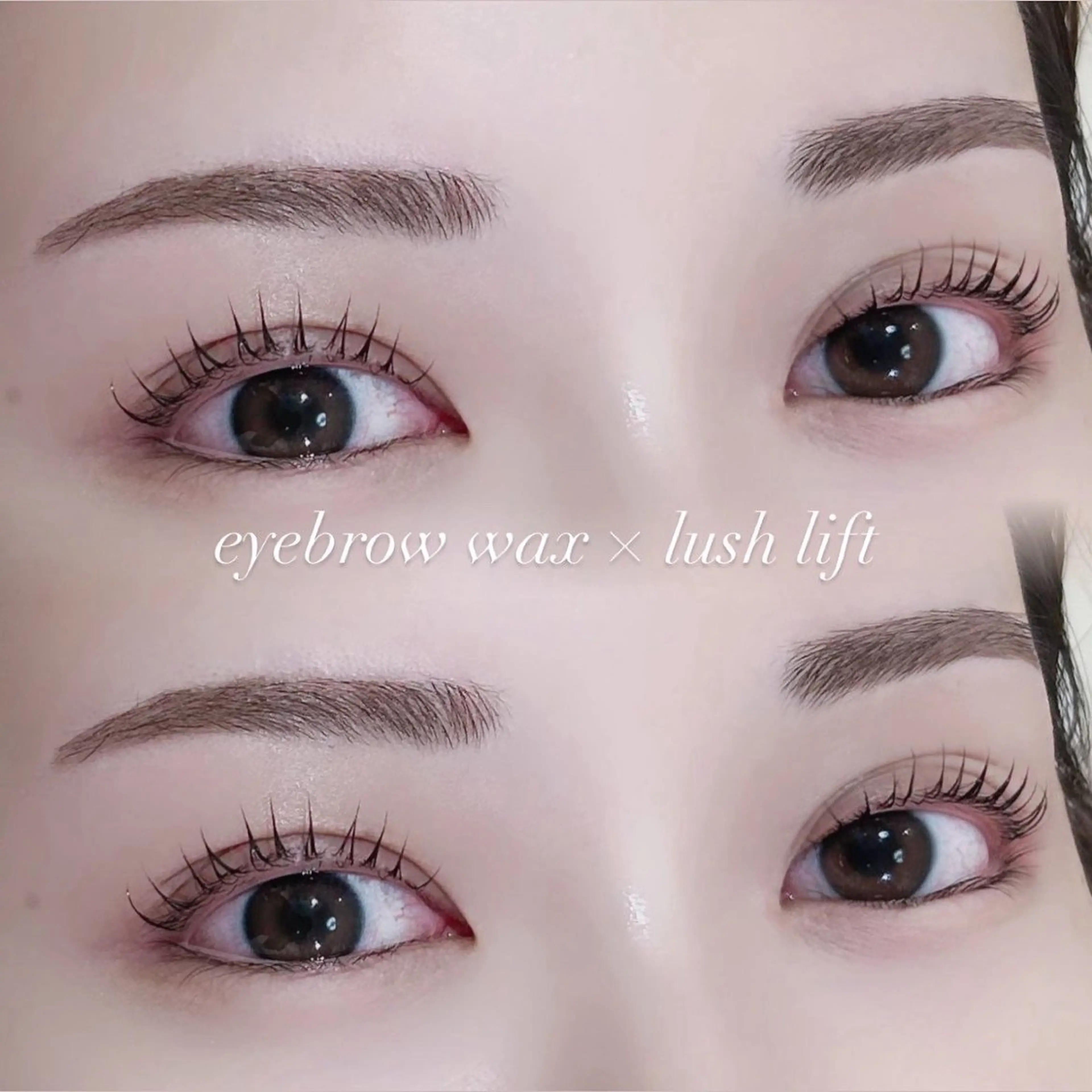 [4月11日12:00限定‼️]期間限定メニュー!!まつパ×アイブロウワックス‎‎🩷の写真