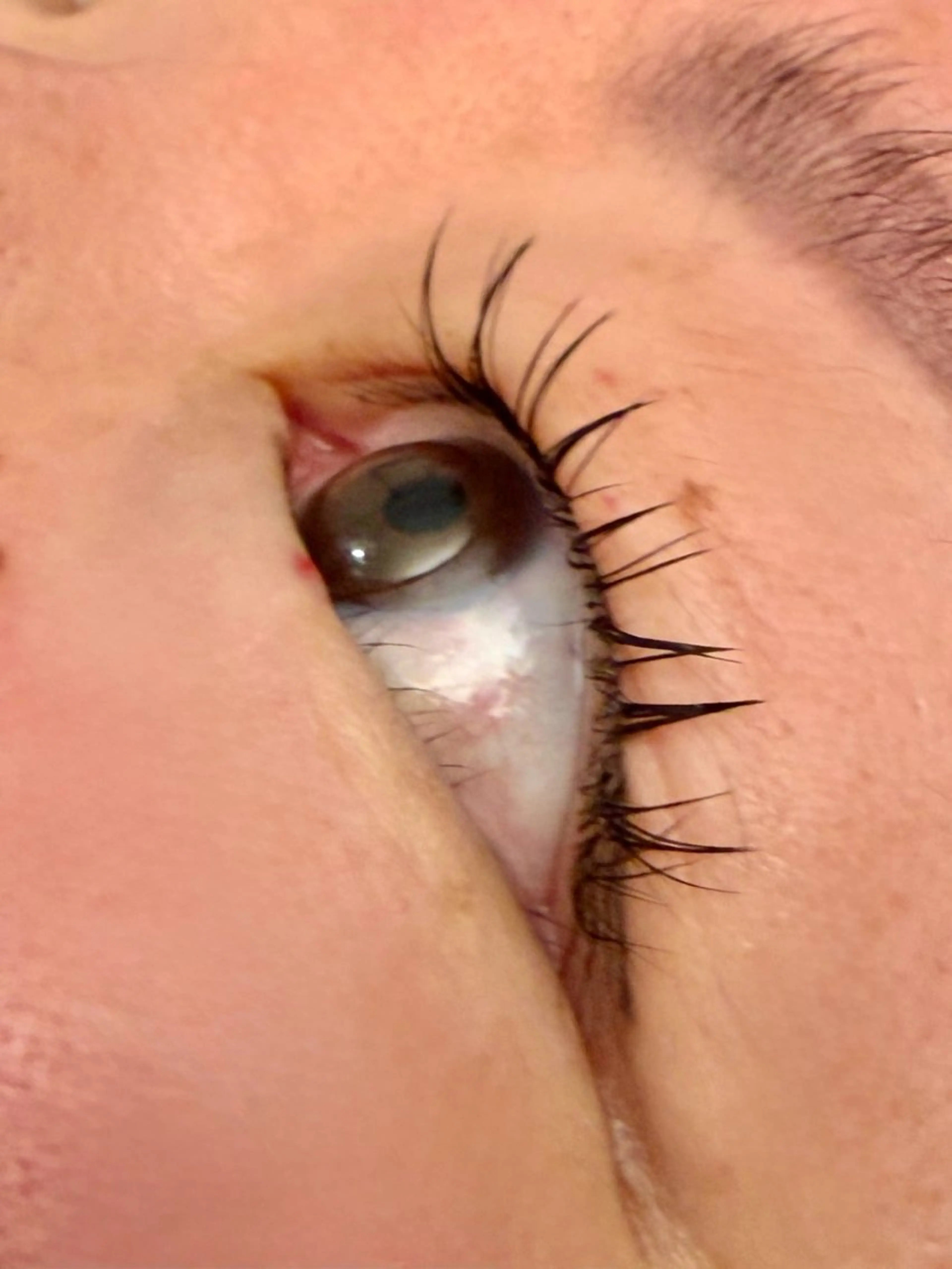 マツエク・マツパ フラットラッシュ マツエク Soanju(RIRE share salon)所属・(RIRE) Soanju.Mのマツエク・マツパデザイン