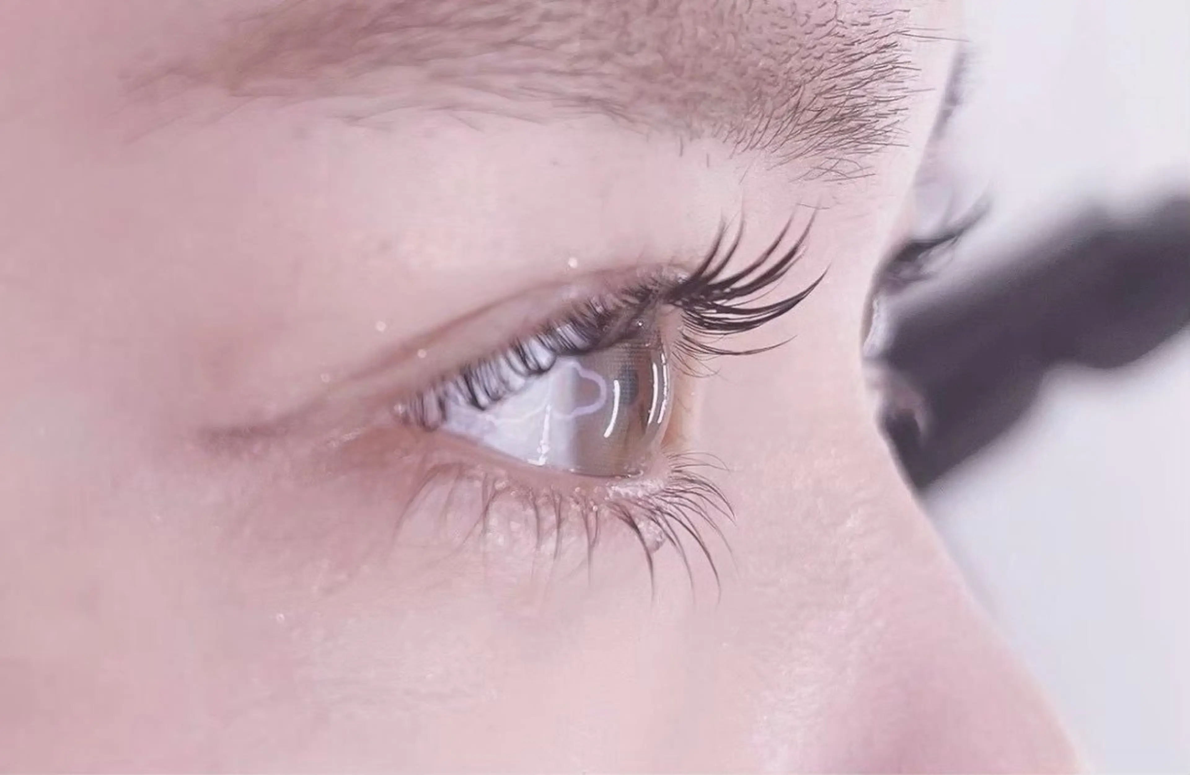 【ご新規様】平日限定￤🧊🪽上下パーマ〈コーティング付き🫧〉【 ラッシュリフト or パリジェンヌ 】の写真