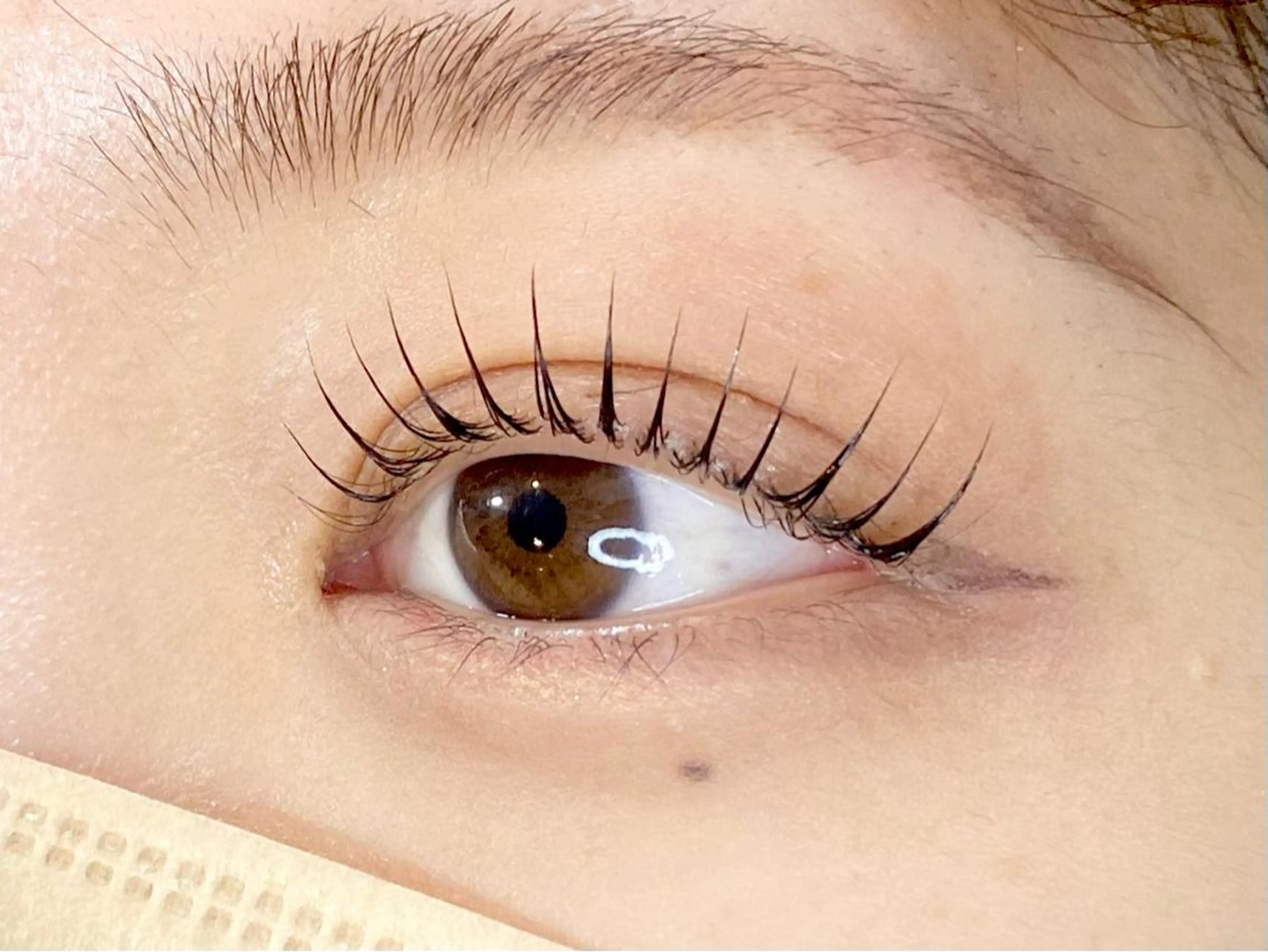 マツエク・マツパ Chisato🤍池 袋/マツパ/マツエクのマツエク・マツパデザイン