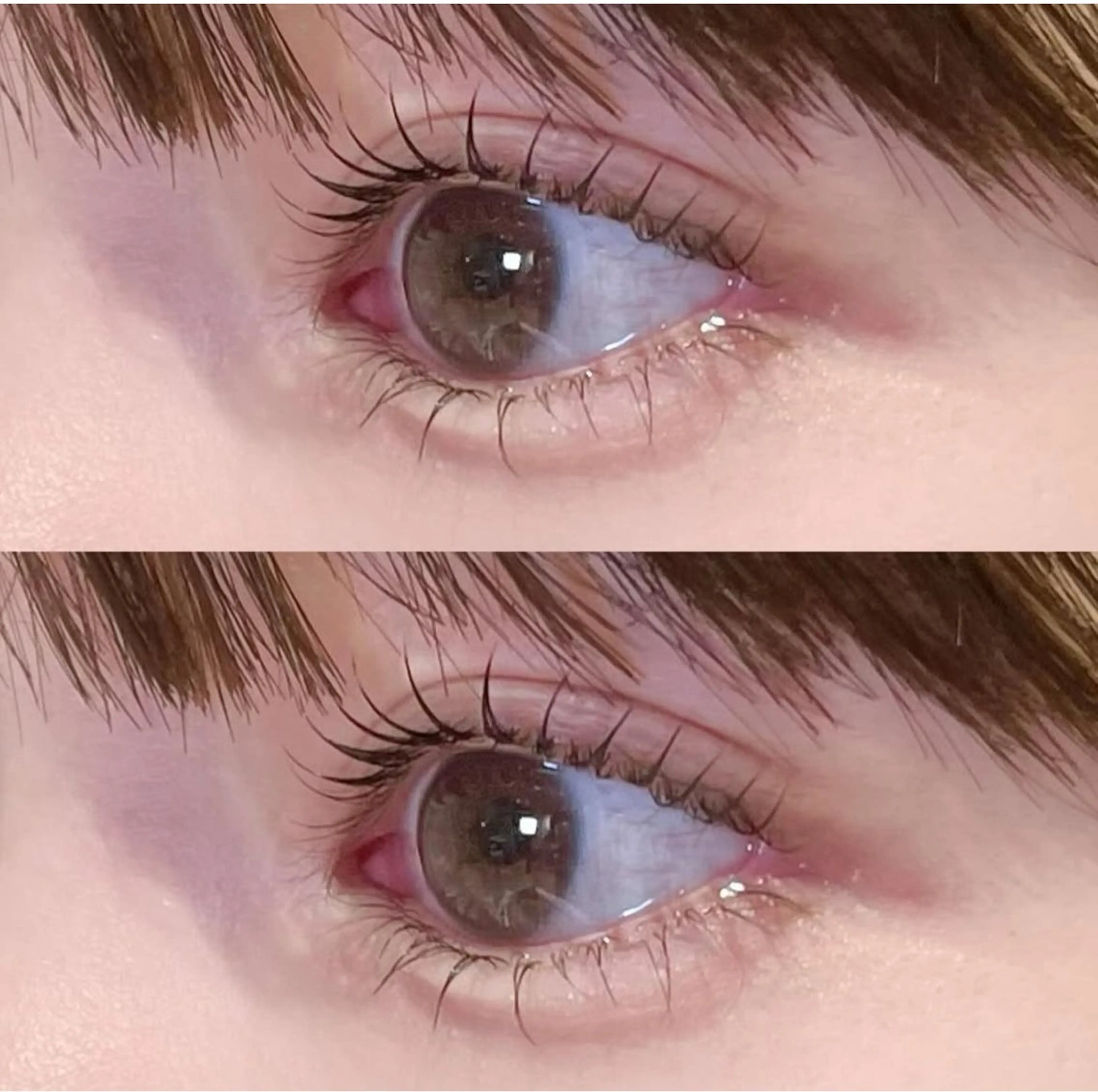 🎀⟡.*まつ毛パーマ＋美容コーティング仕上げ❄️‎🤍の写真