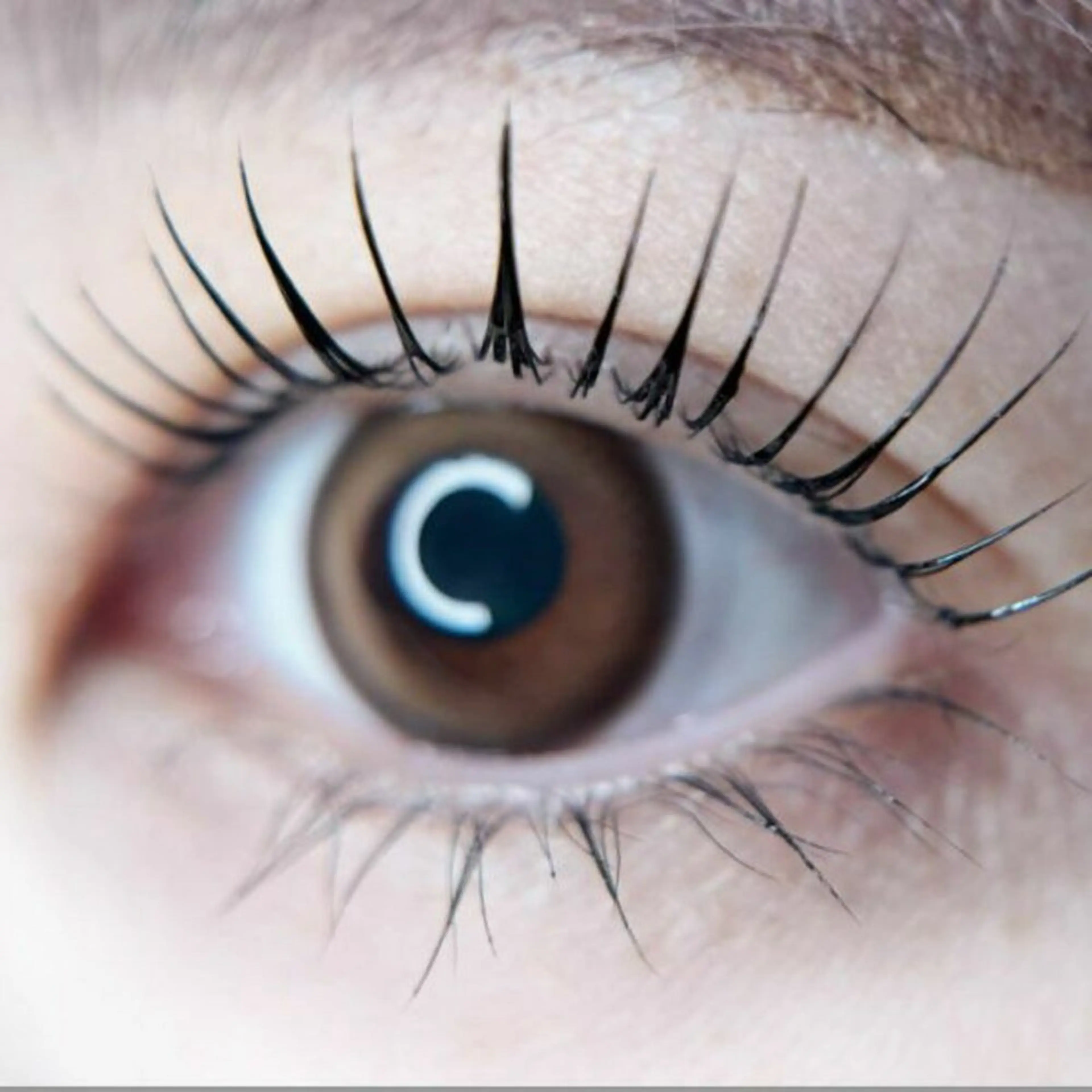 韓国で大人気🌸マスカラパーマ🎀まつ毛パーマ&ブラックティントでメイク時短💄の写真