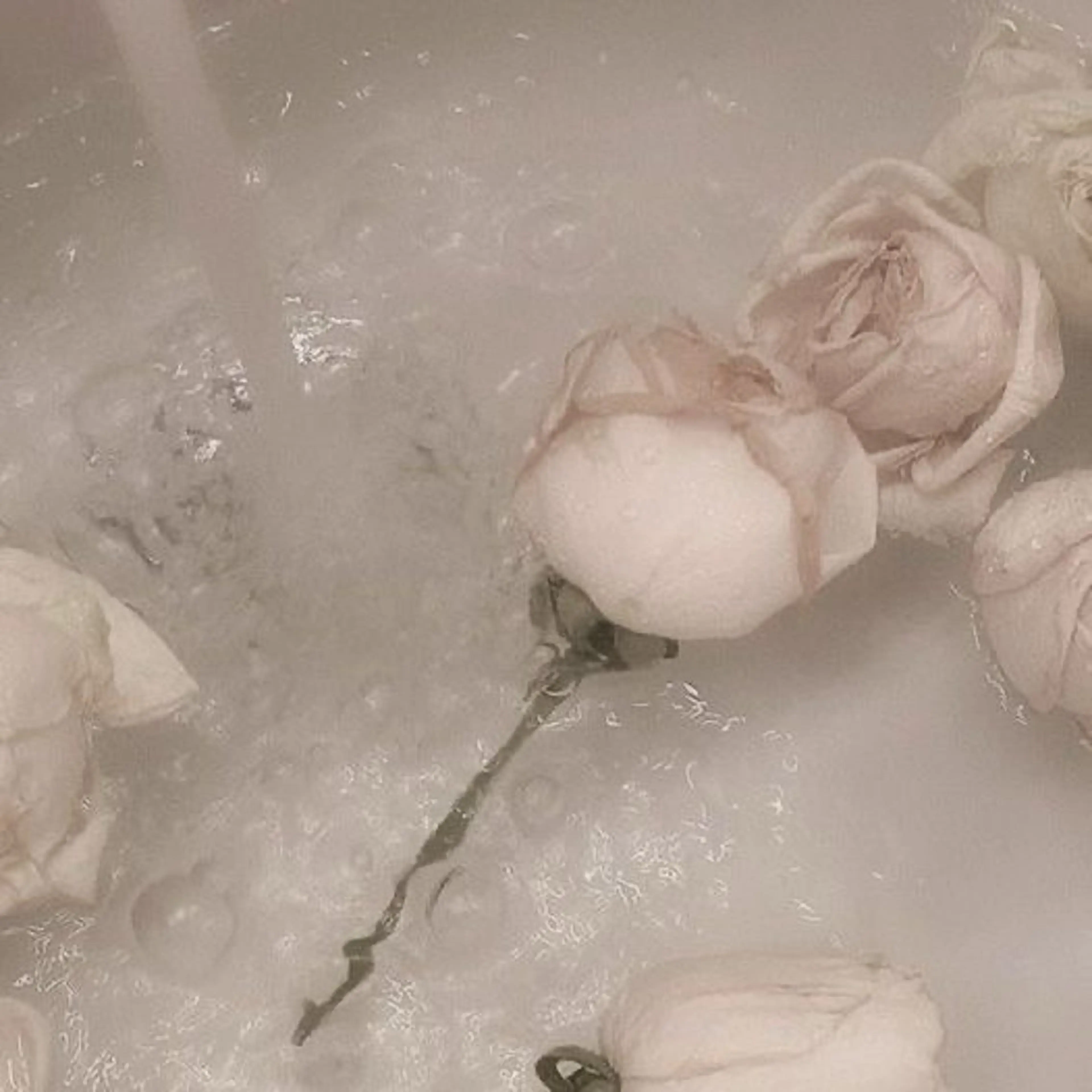 TAKAHASHI 🎀✨韓国風/束感のマツエク・マツパデザイン