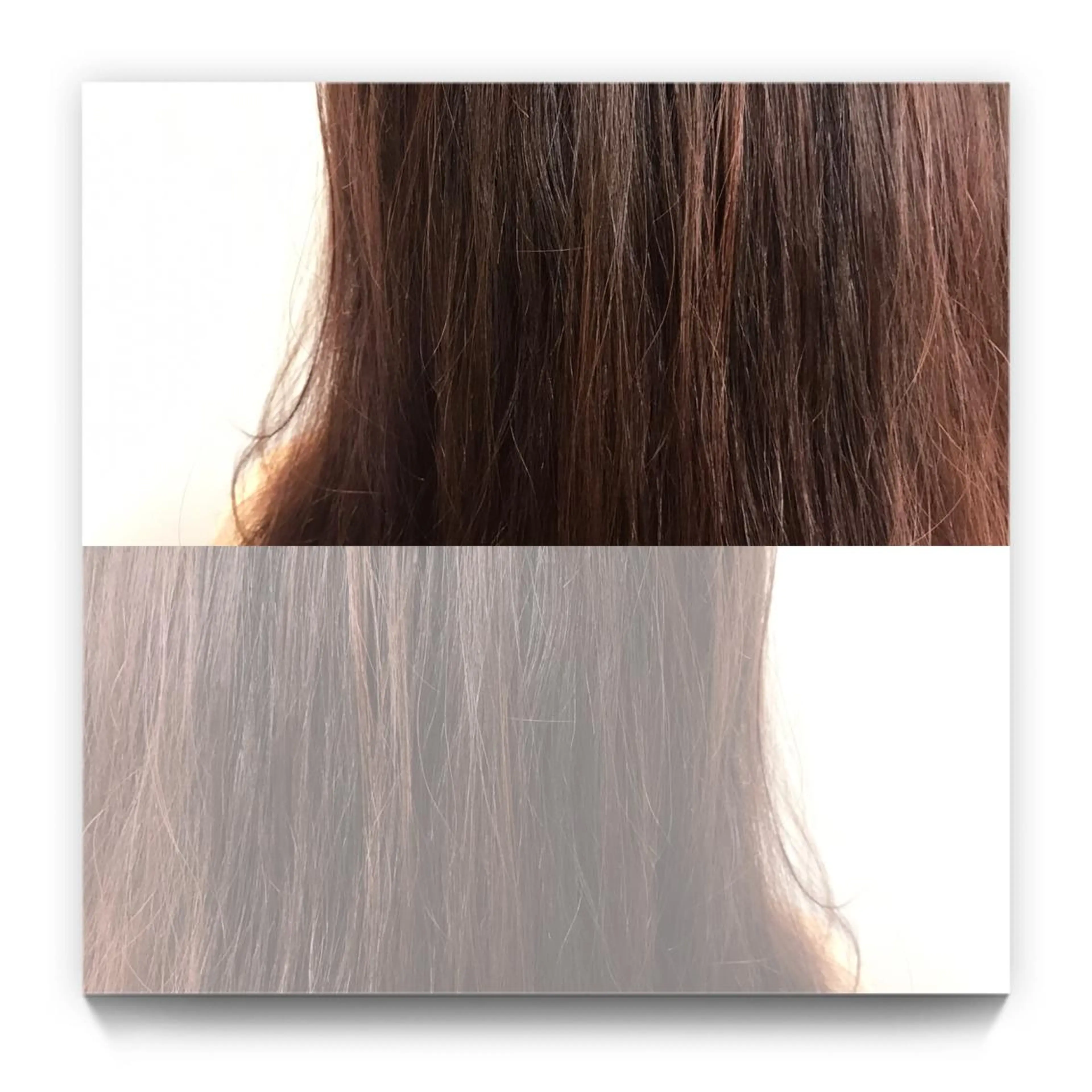 ロング カラー アッシュ ピンクカラー ピンクアッシュ スズキ シオリのヘアスタイル