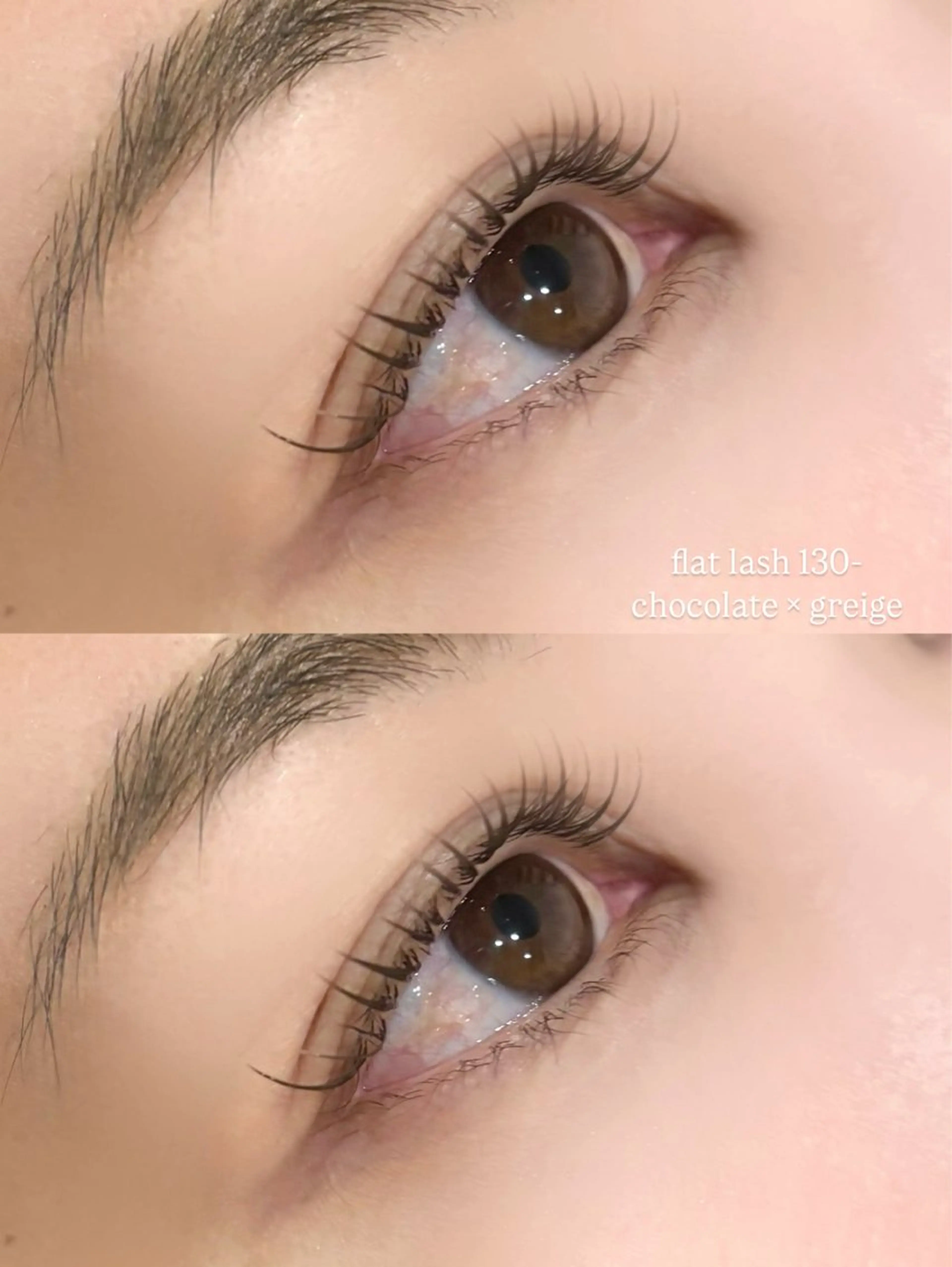 フラットラッシュ120本の写真