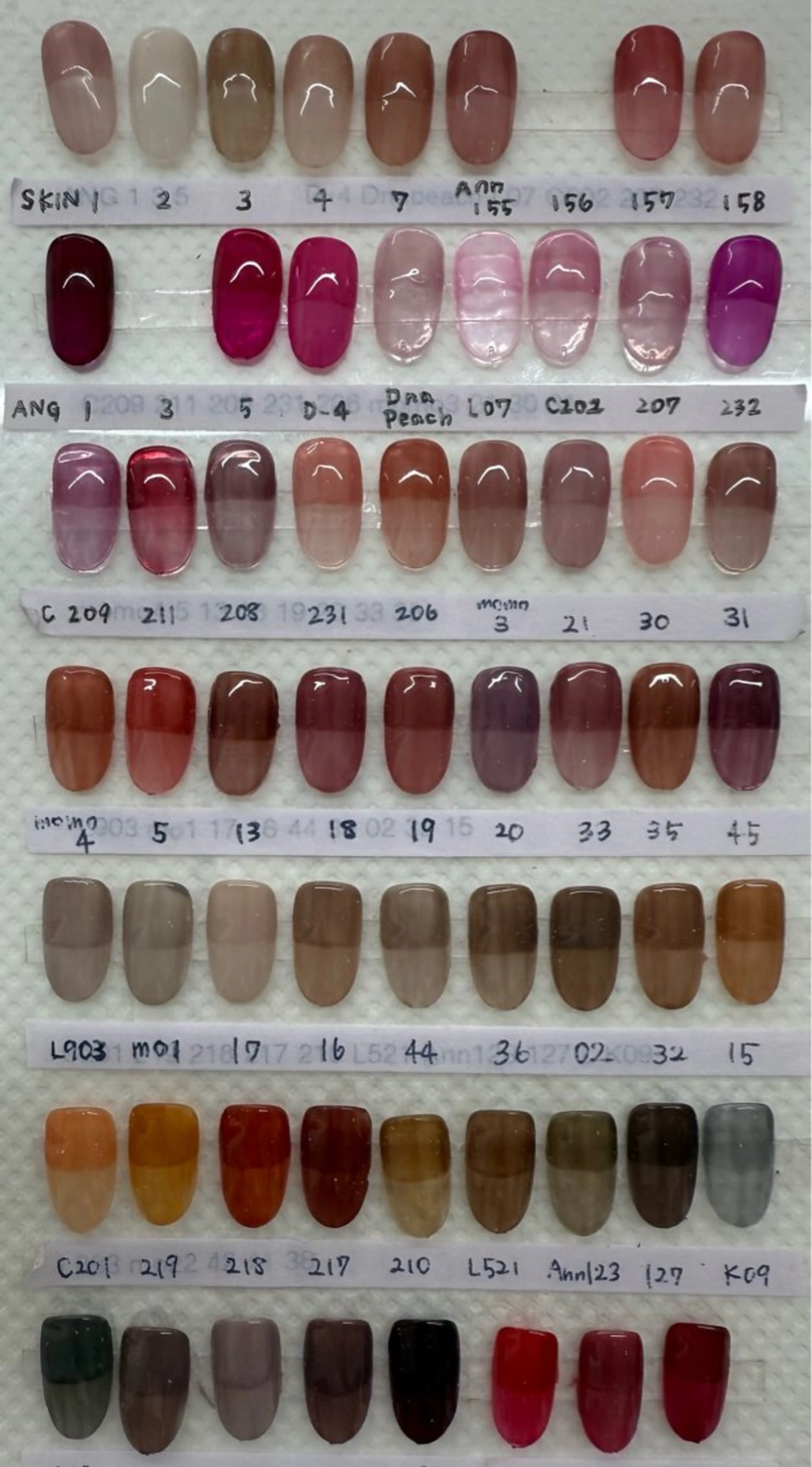 ネイル グラデーション ワンカラーネイル salone Regina 【サローネ レジーナ】所属・Regina Marinaのネイルデザイン