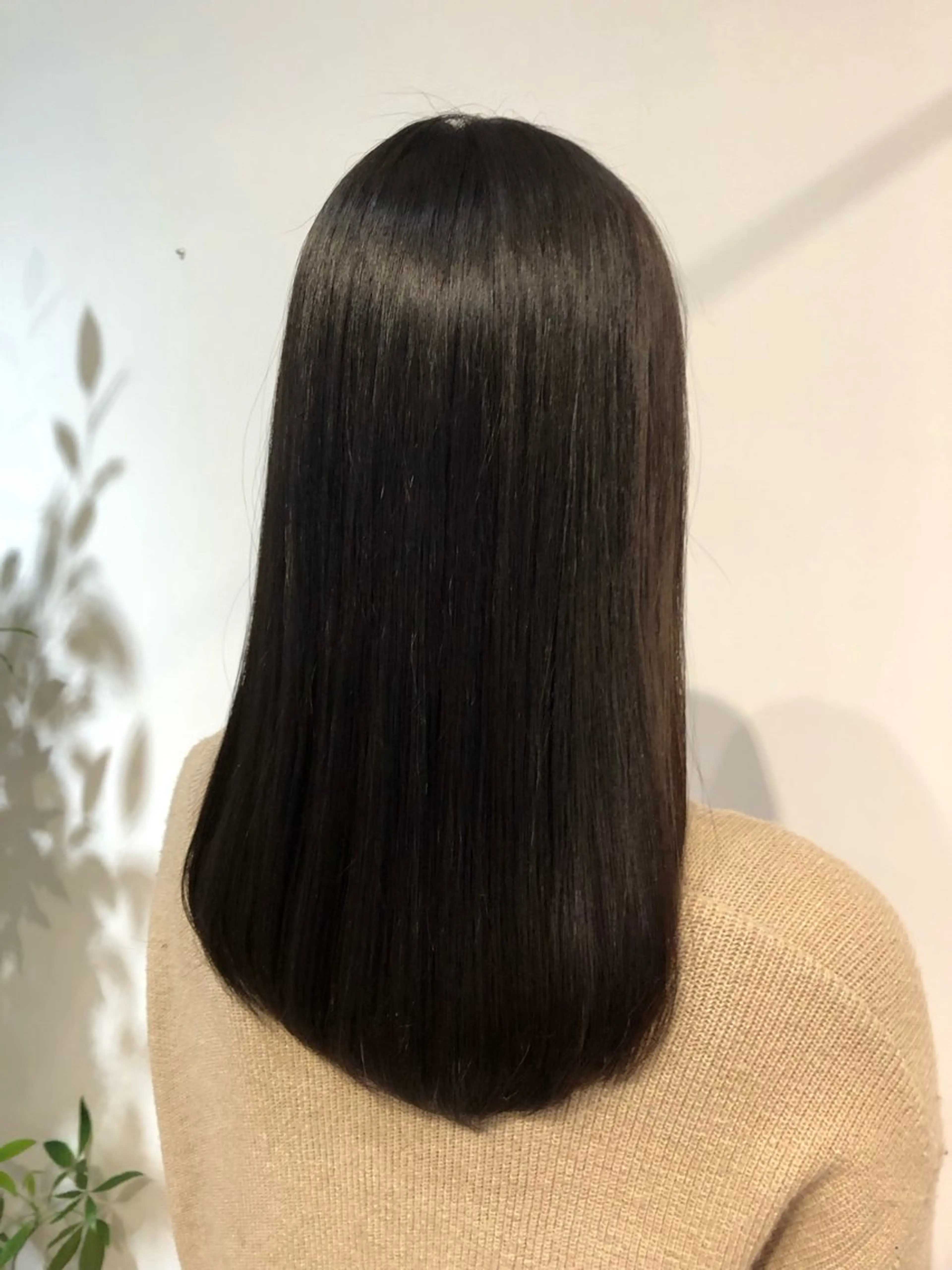 セミロング カット 縮毛矯正 トリートメント 青野 文香のヘアスタイル