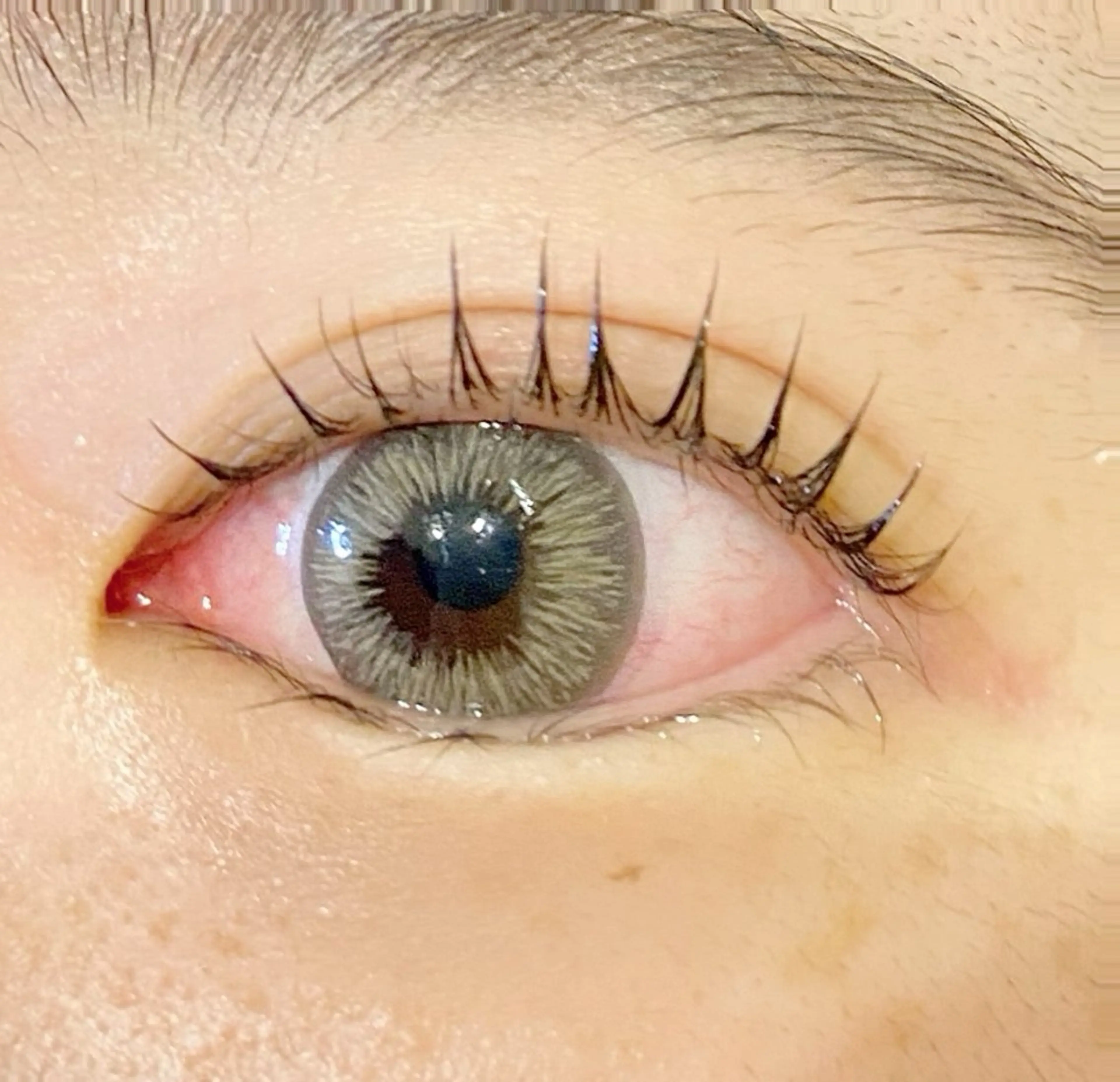 マツエク・マツパ マツパ Jessica 清水🎀✨のエステ・リラクイメージ