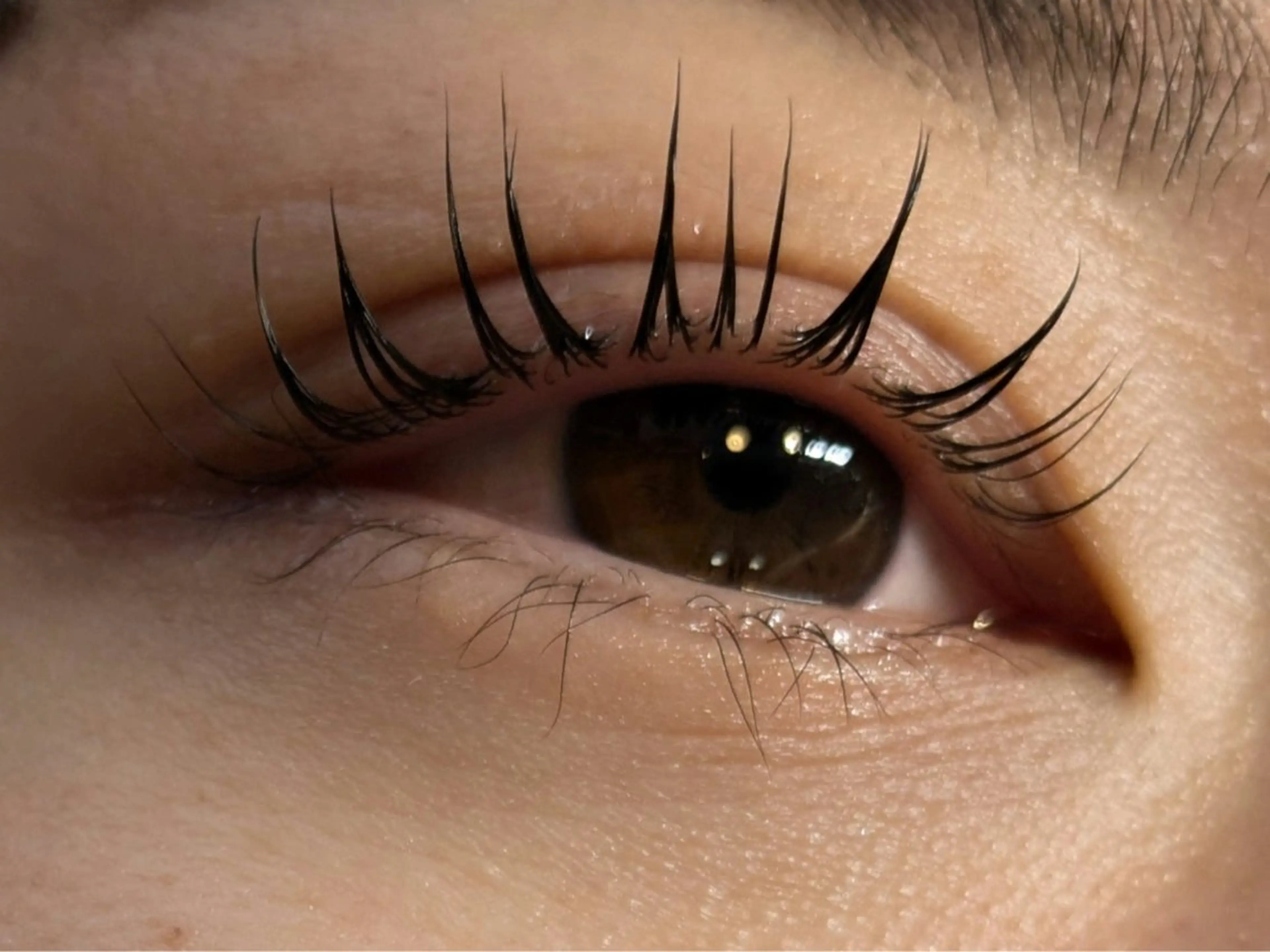 パリジェンヌの写真