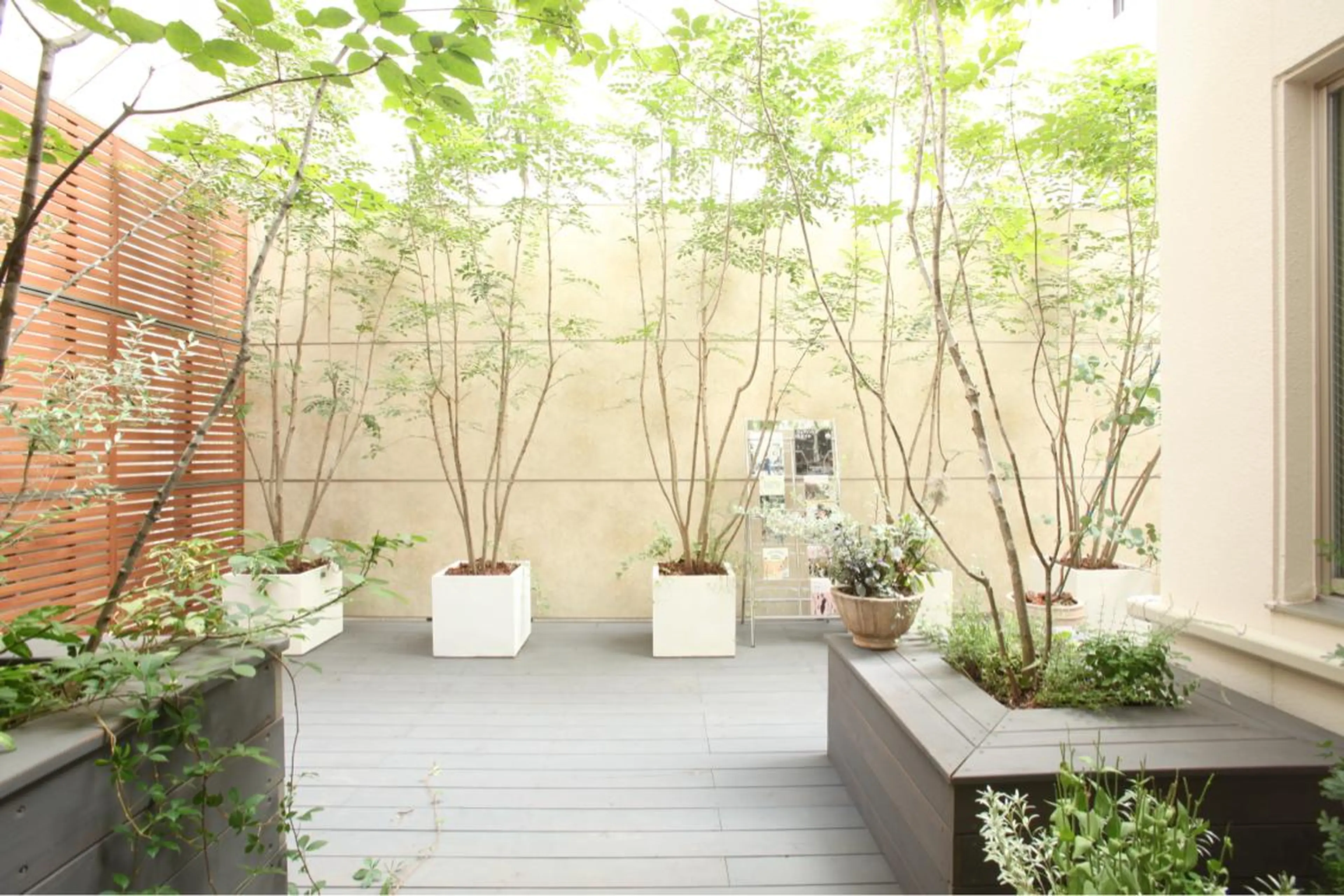 加藤 巳和のエステ・リラクイメージ