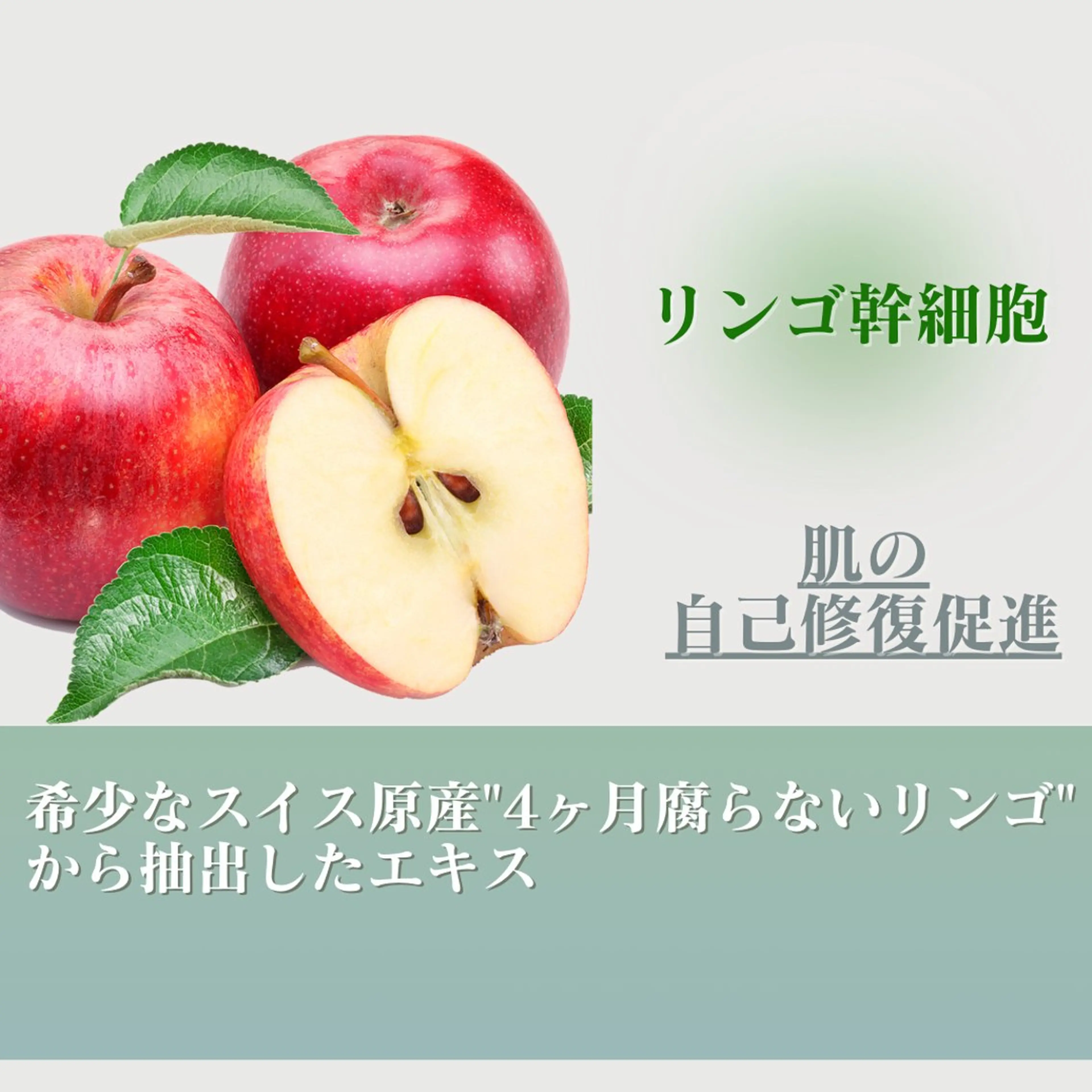 潤い艶肌／肌質改善 YUKAのエステ・リラクイメージ