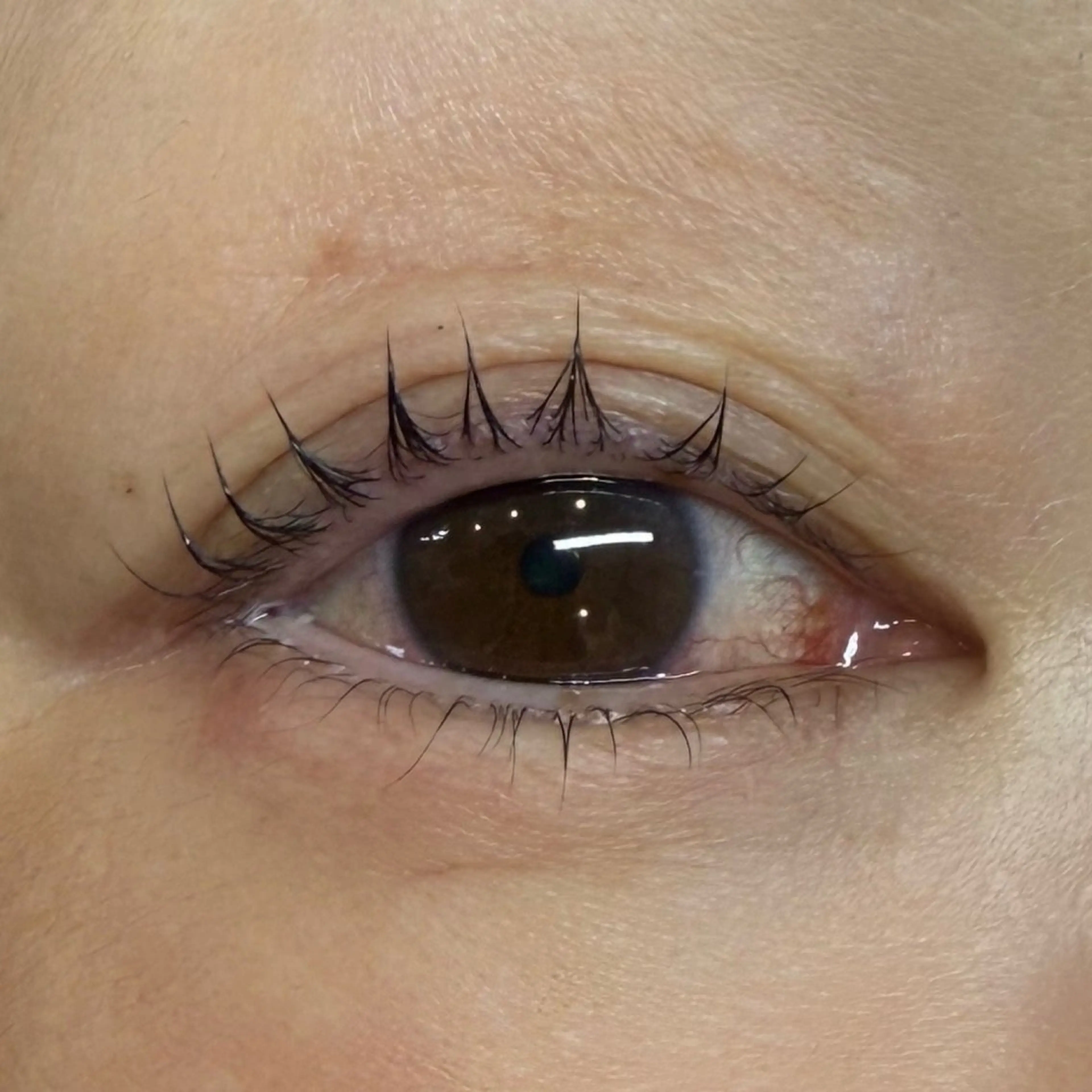 マツエク・マツパ マツパ U too e's MANAE🌼の眉毛・アイブロウイメージ