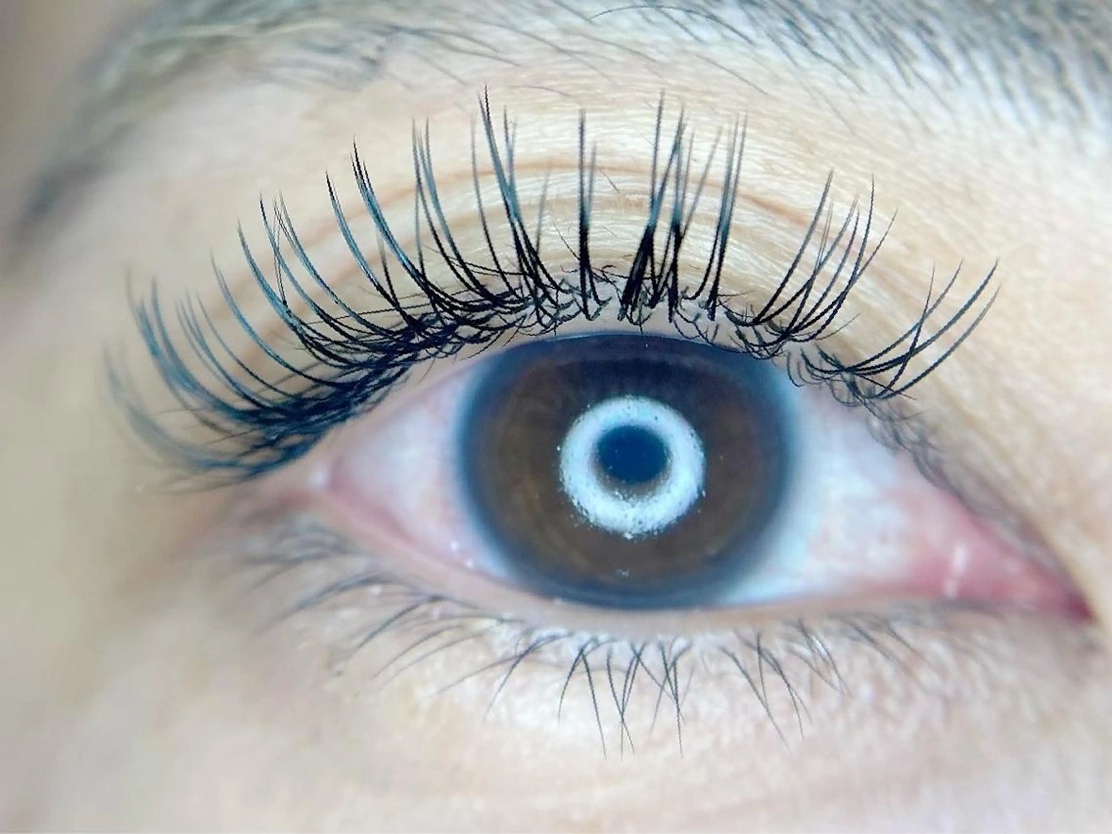 マツエク・マツパ Luana+ Kuroiwaのエステ・リラクイメージ