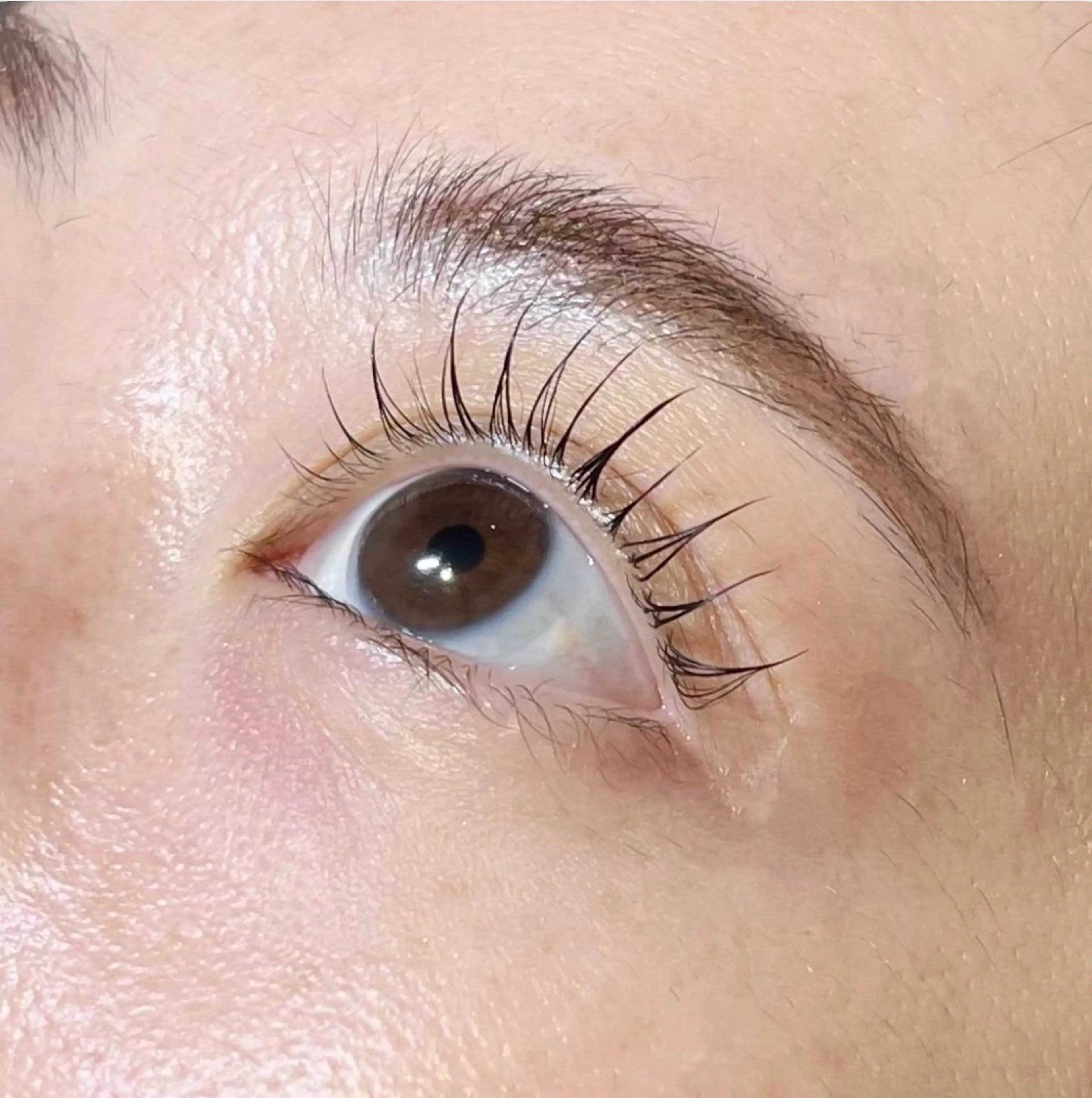 マツエク・マツパ マツパ EARTH光の森 MANAMIのマツエク・マツパデザイン