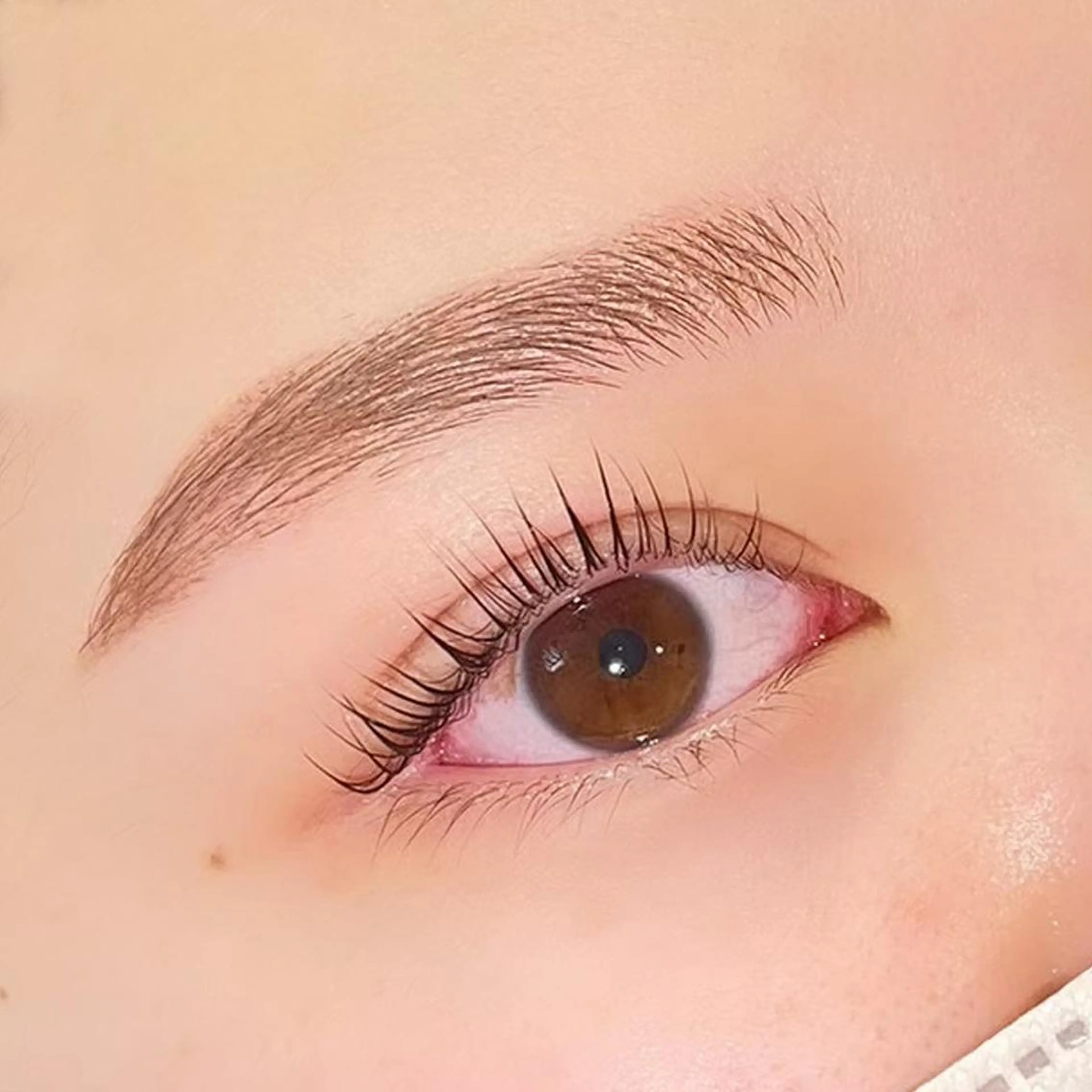 再来様💙【デザインまつげパーマ×パーソナル美眉スタイリング(間引き有🌷)】2~3週間自己処理🙅‍♀️の写真