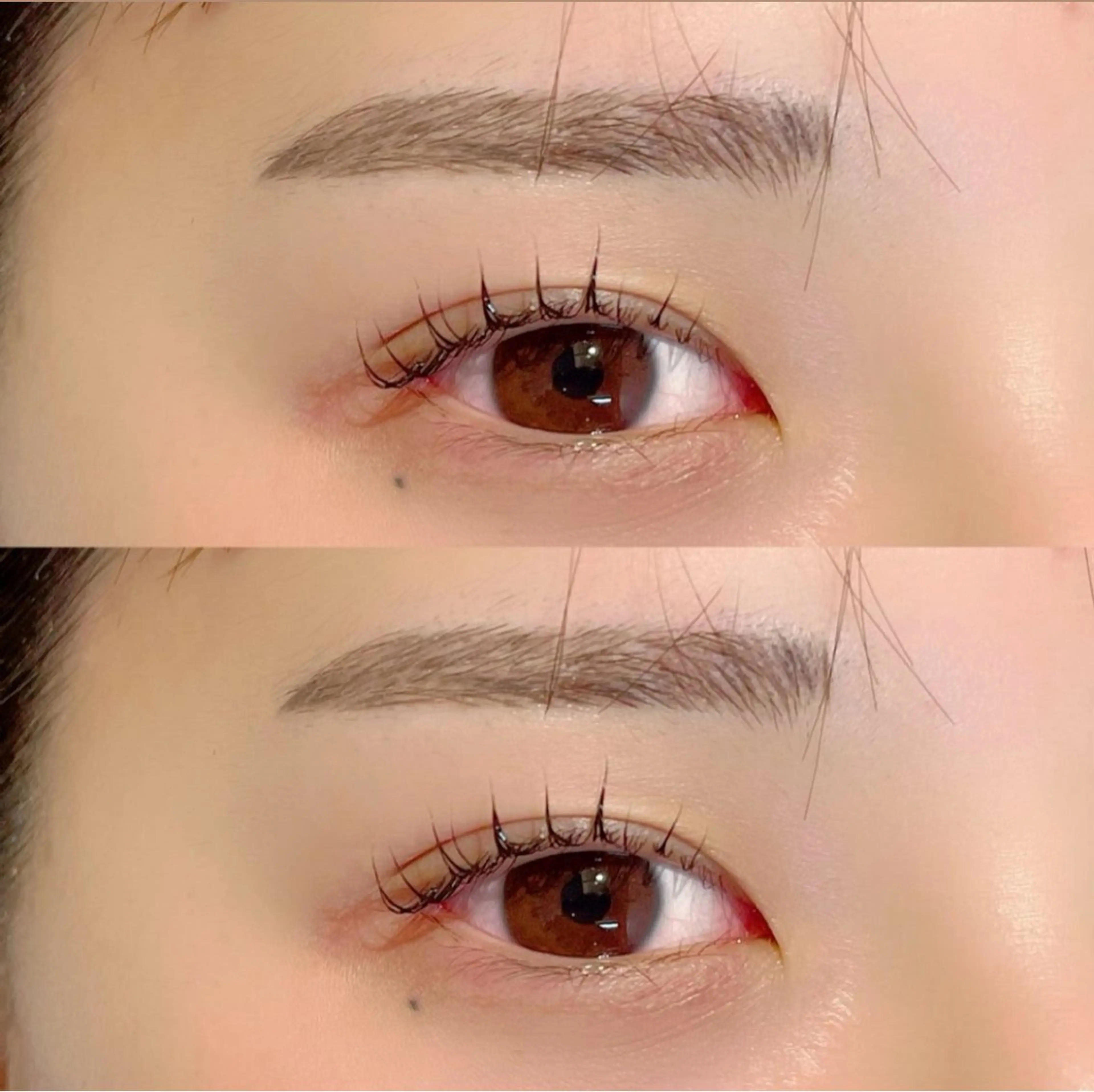 マツエク・マツパ 🎈モテ暖色× 艶カラーちなり🎈のマツエク・マツパデザイン