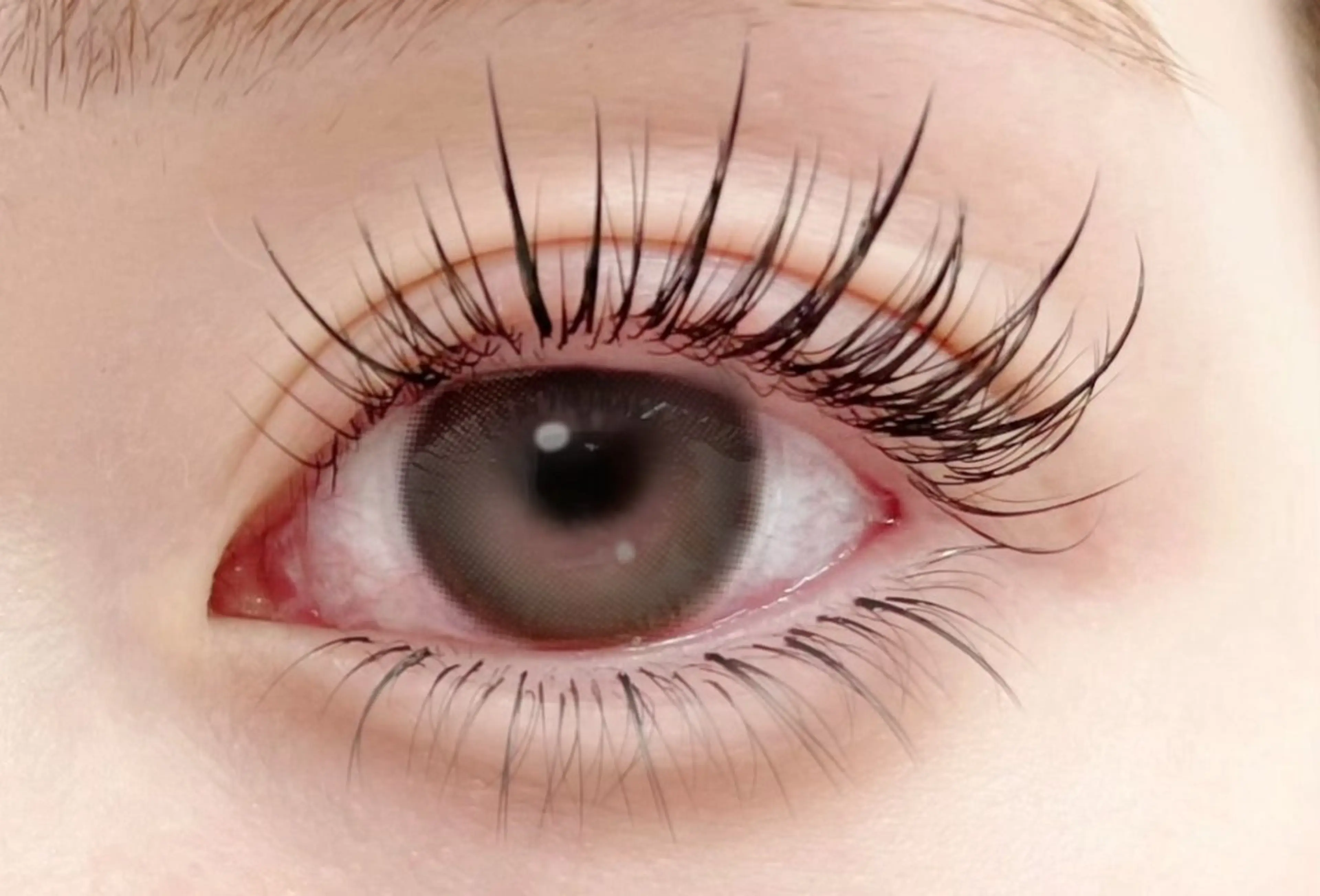 マツエク・マツパ ワンホンマツエク ユユサロン/ 新宿パリエクのマツエク・マツパデザイン