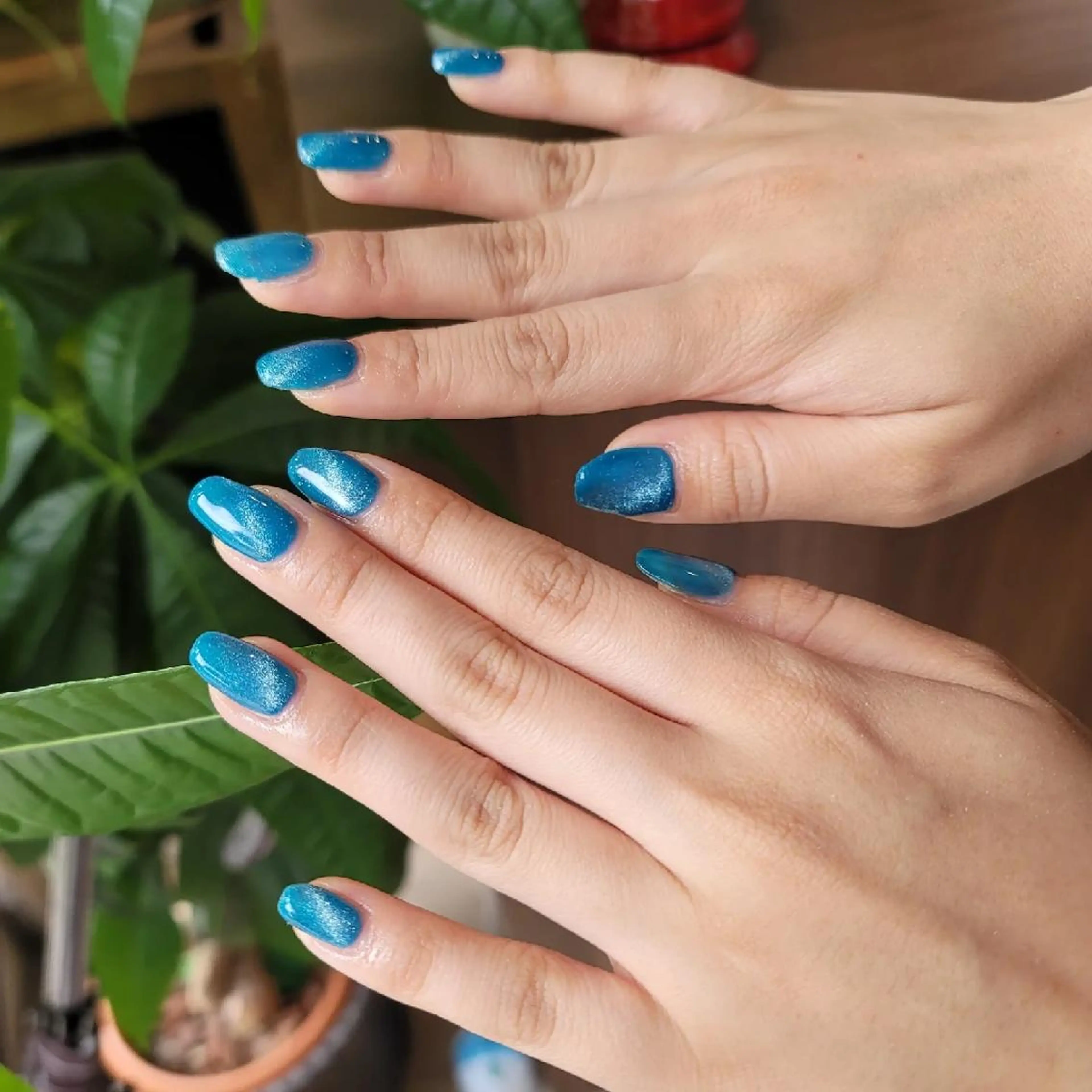 ネイル マグネットネイル マグネットワンカラー ワンカラーネイル へなちょこ ネイリストのネイルデザイン