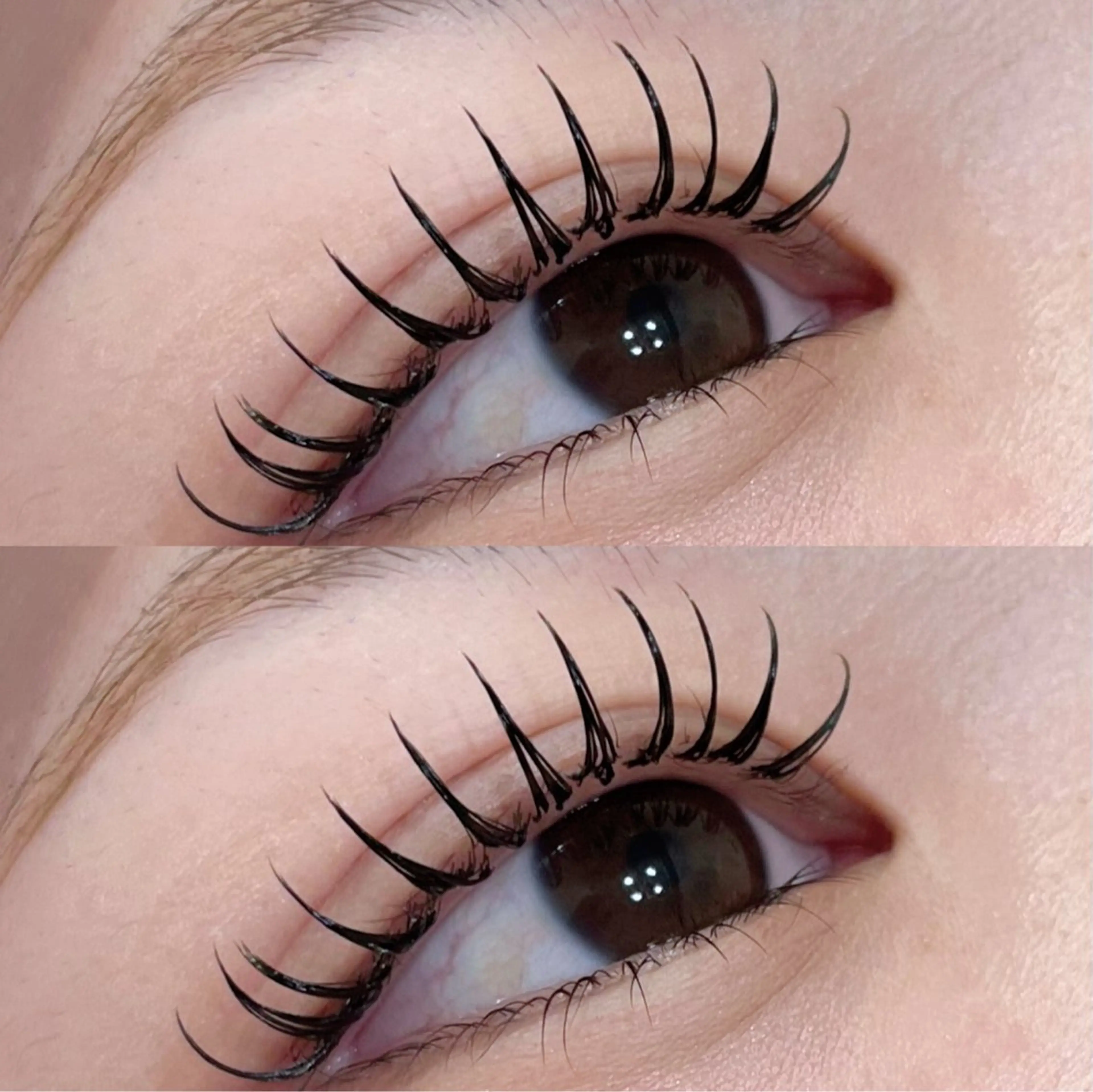 マツエク・マツパ マツエク coco / EYELAのマツエク・マツパデザイン