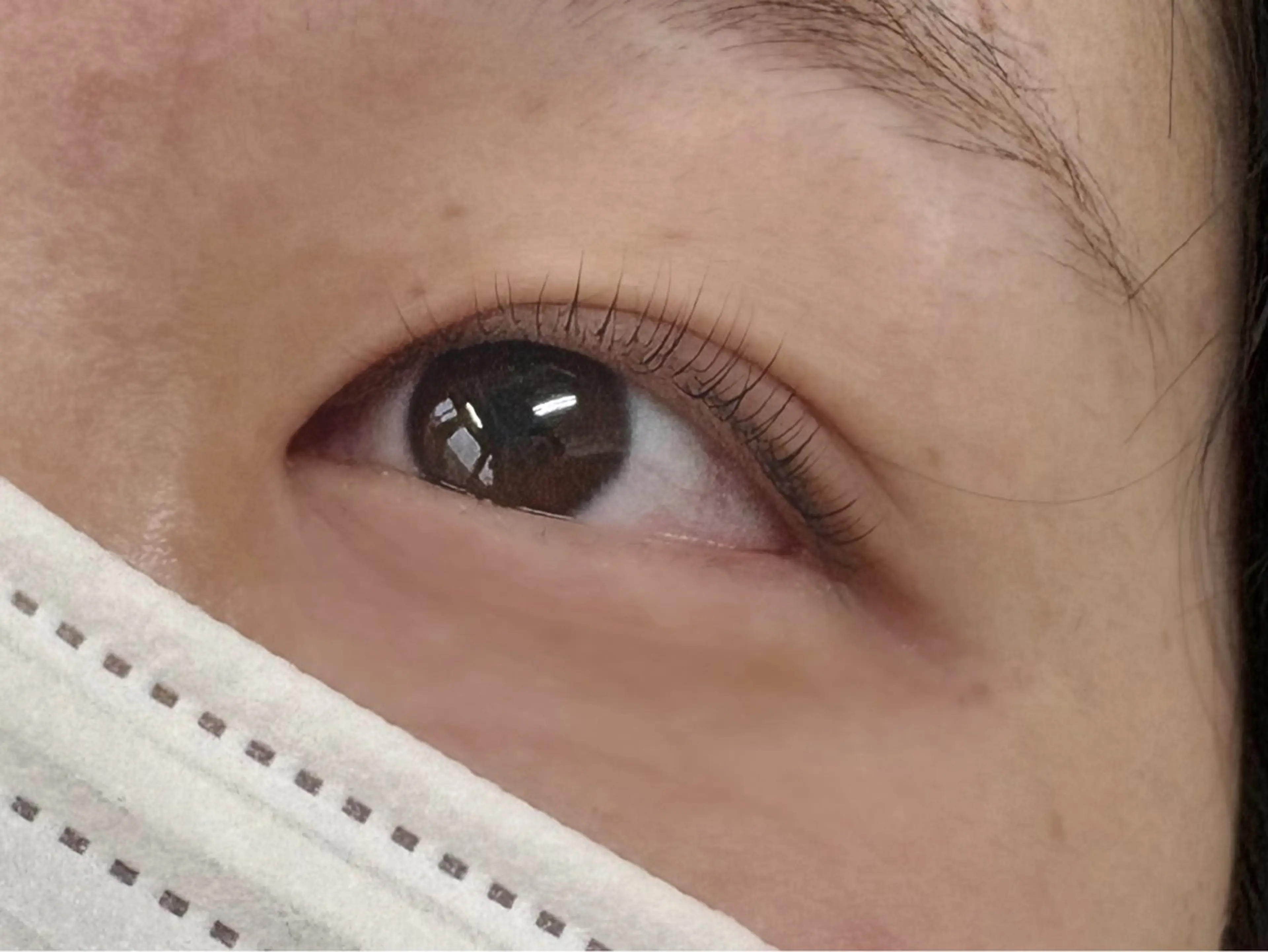 マツエク・マツパ 🐰tru新宿南口/ りん🎀の眉毛・アイブロウイメージ