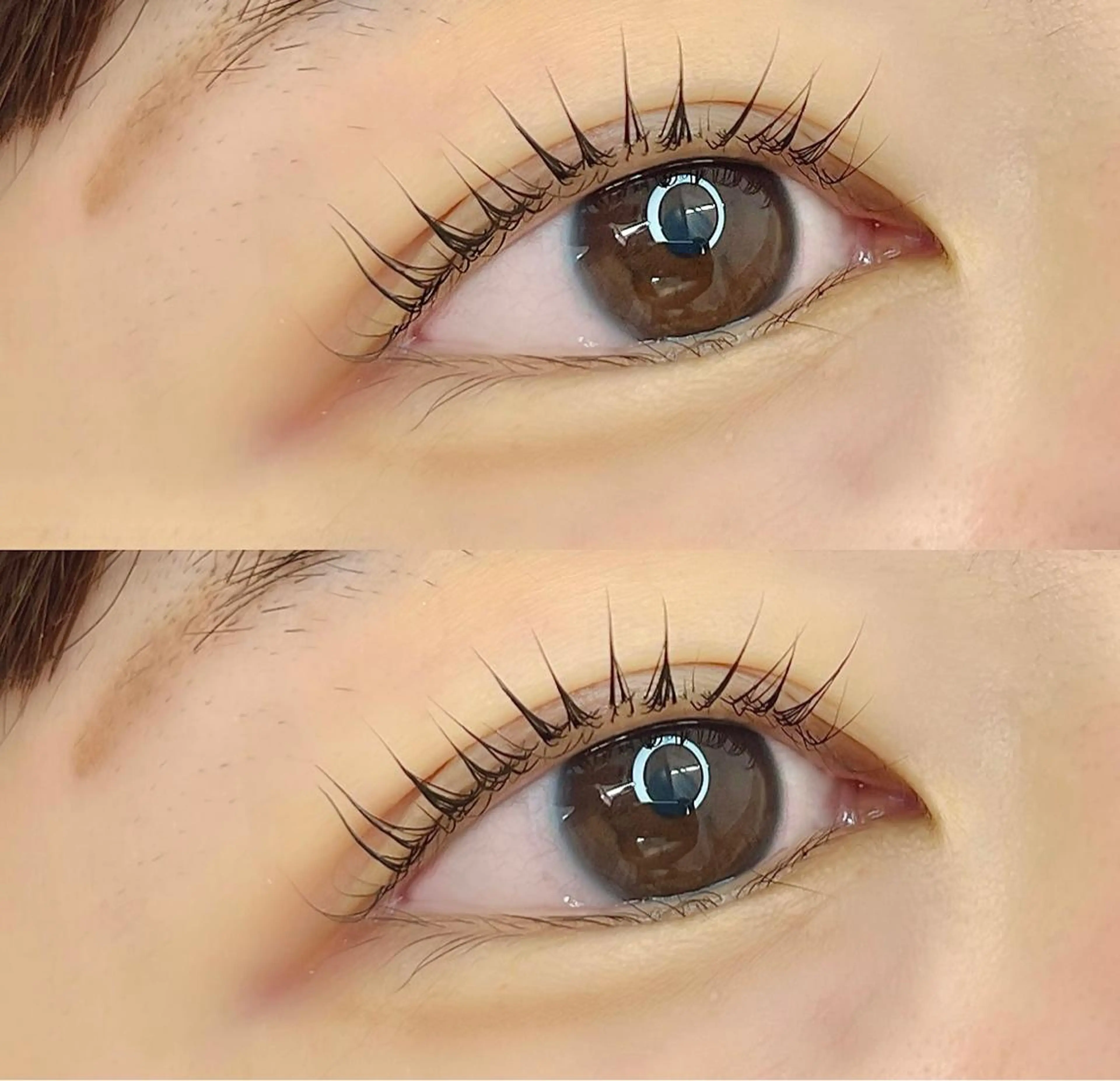 マツエク・マツパ 仙台・ᴇʏᴇʟᴀsʜ 〖ʜᴀʀᴜɴᴀ〗のマツエク・マツパデザイン