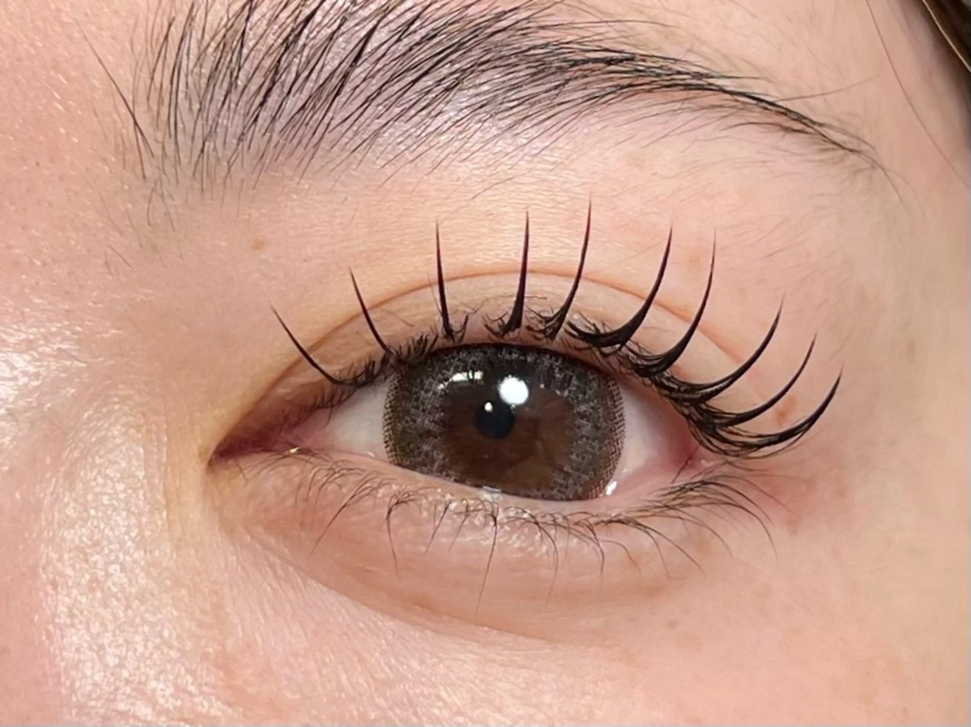 パリジェンヌラッシュリフト×LEDエクステ80/100/120🎀🤍※本数によって金額変わります😌の写真