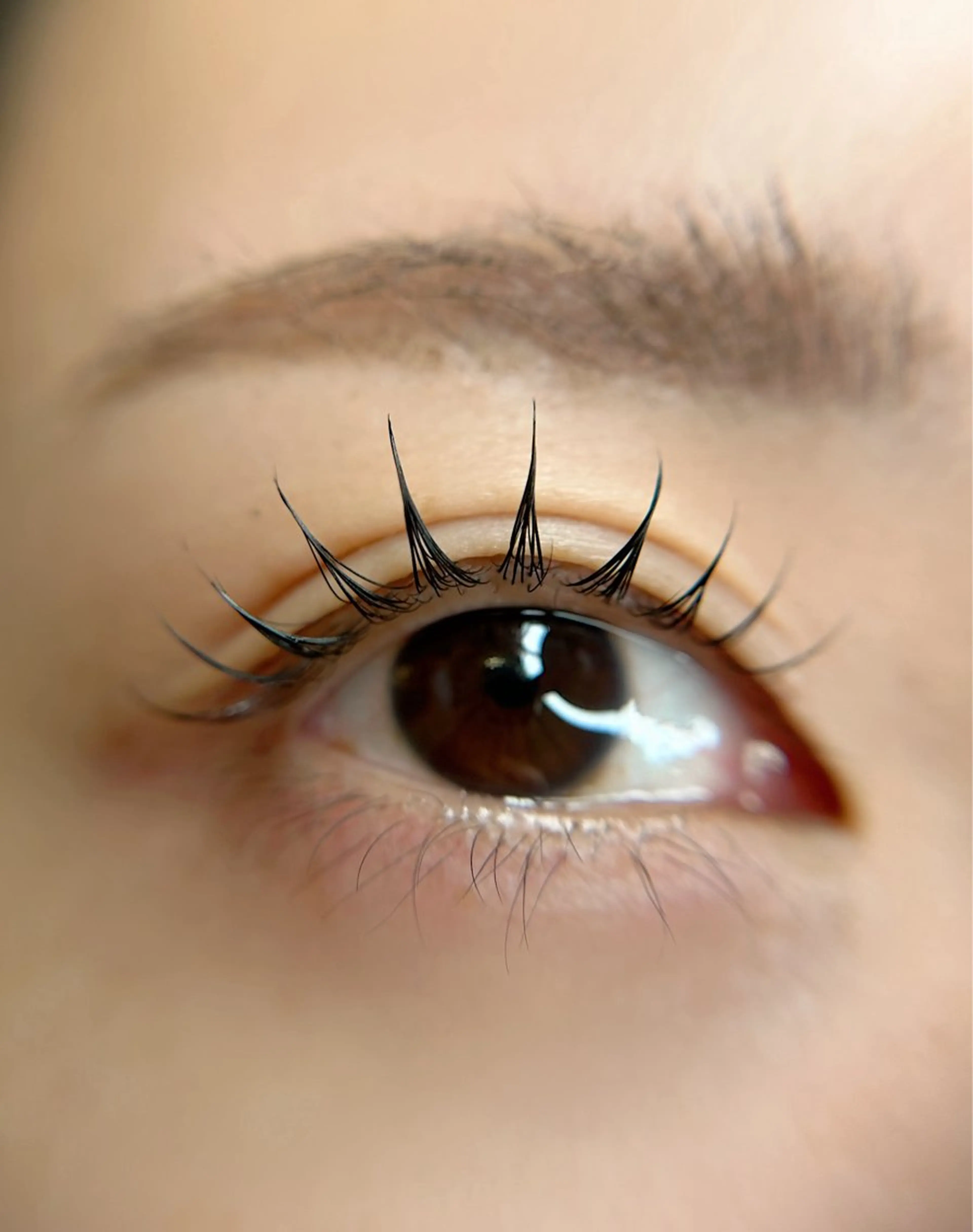 マツエク・マツパ Citrine eyelash ✿のマツエク・マツパデザイン