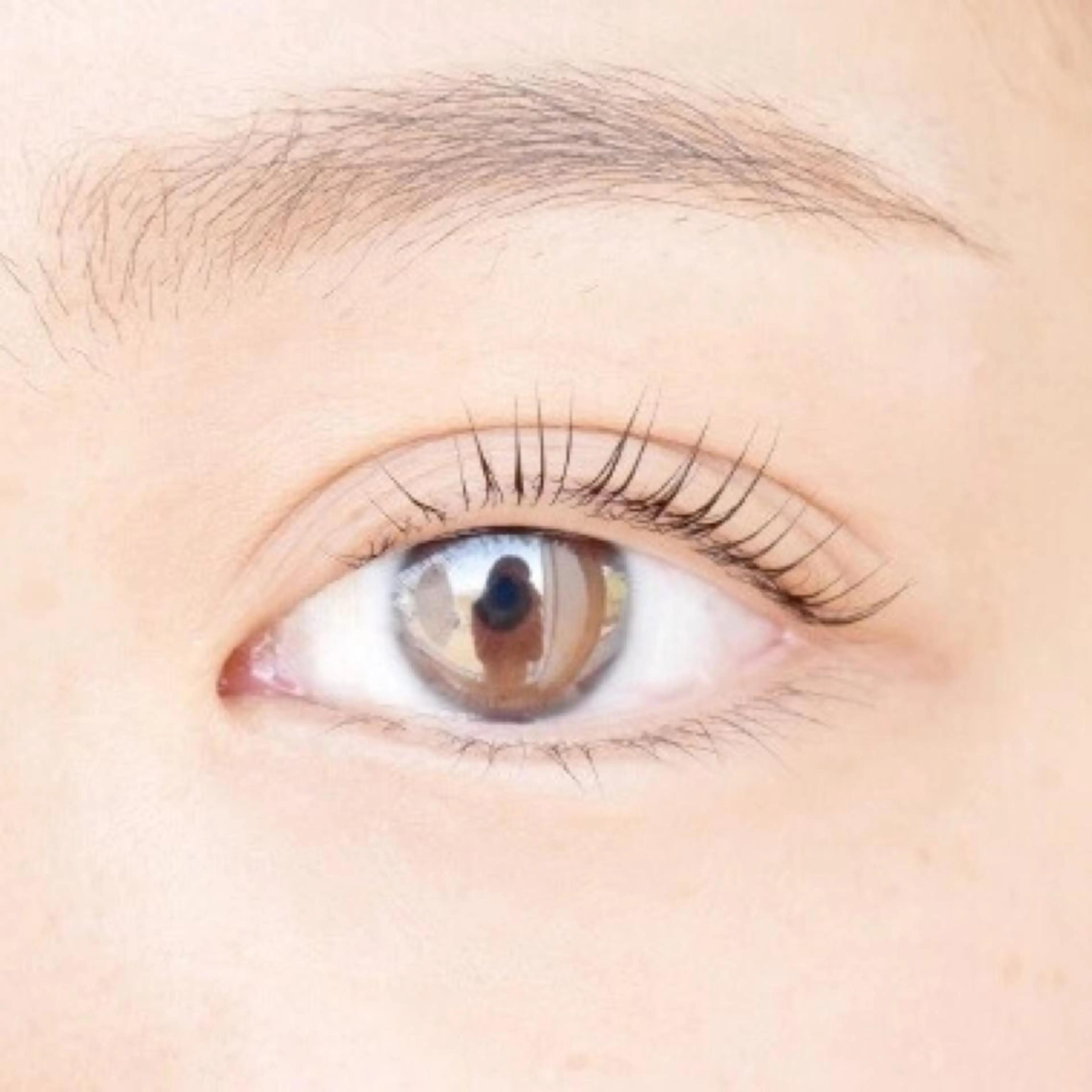 マツエク・マツパ パリジェンヌラッシュリフト Chermy(チェルミー)所属・Chermy 矢島のマツエク・マツパデザイン