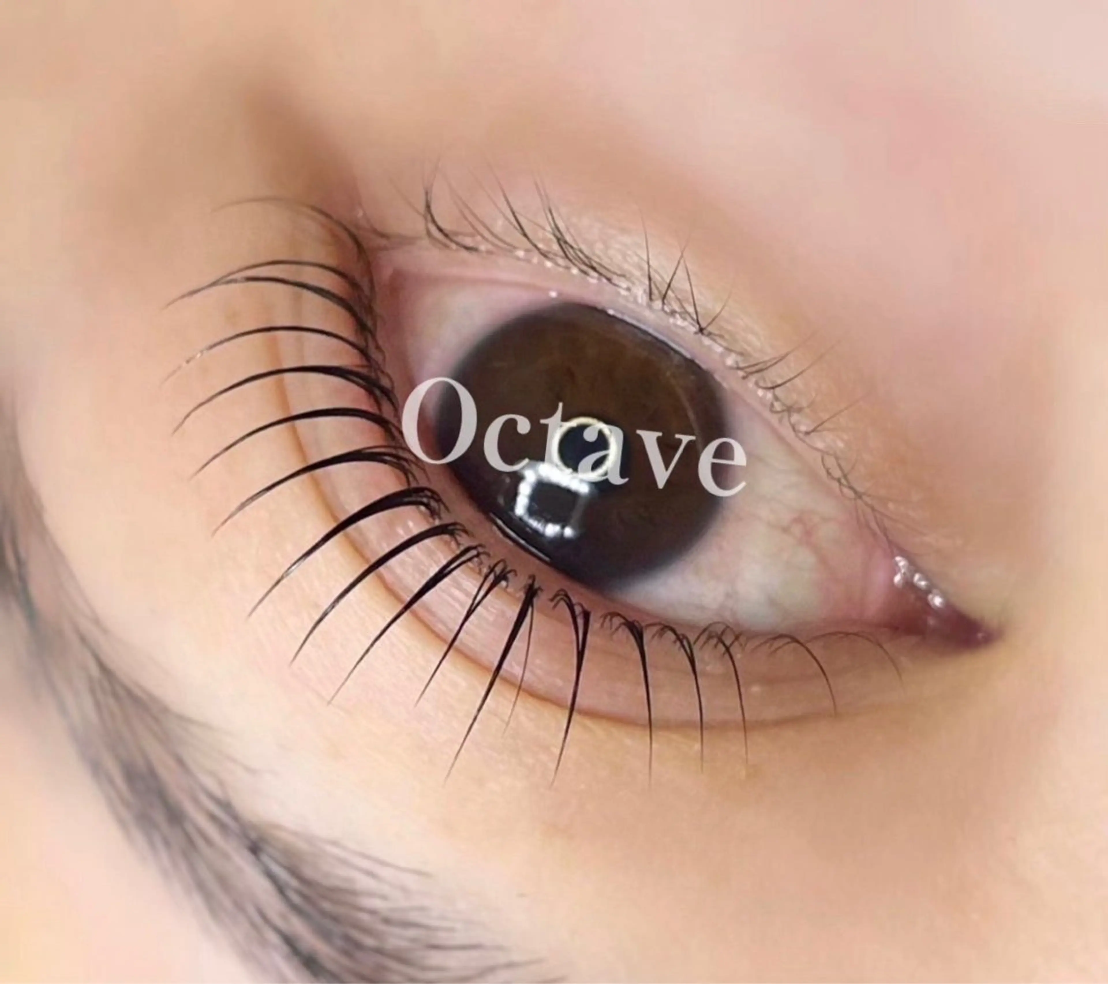 マツエク・マツパ まつげパーマ 一重×まつ毛パーマ マツパ まつ毛と眉毛の専門店　オクターブ福岡店所属・オクターブ 天神店の眉毛・アイブロウイメージ