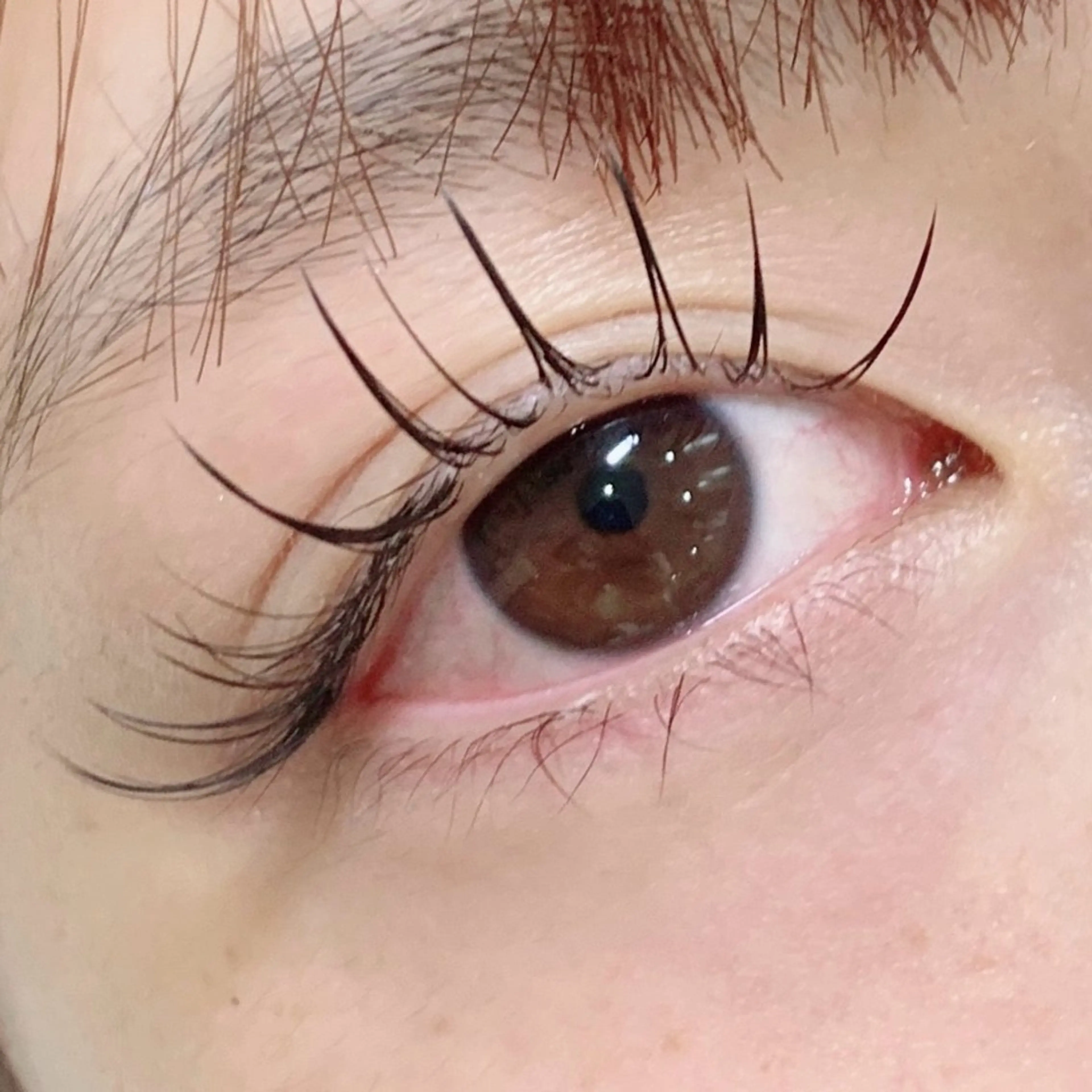 マツエク・マツパ マツエク lifra CHISAのマツエク・マツパデザイン