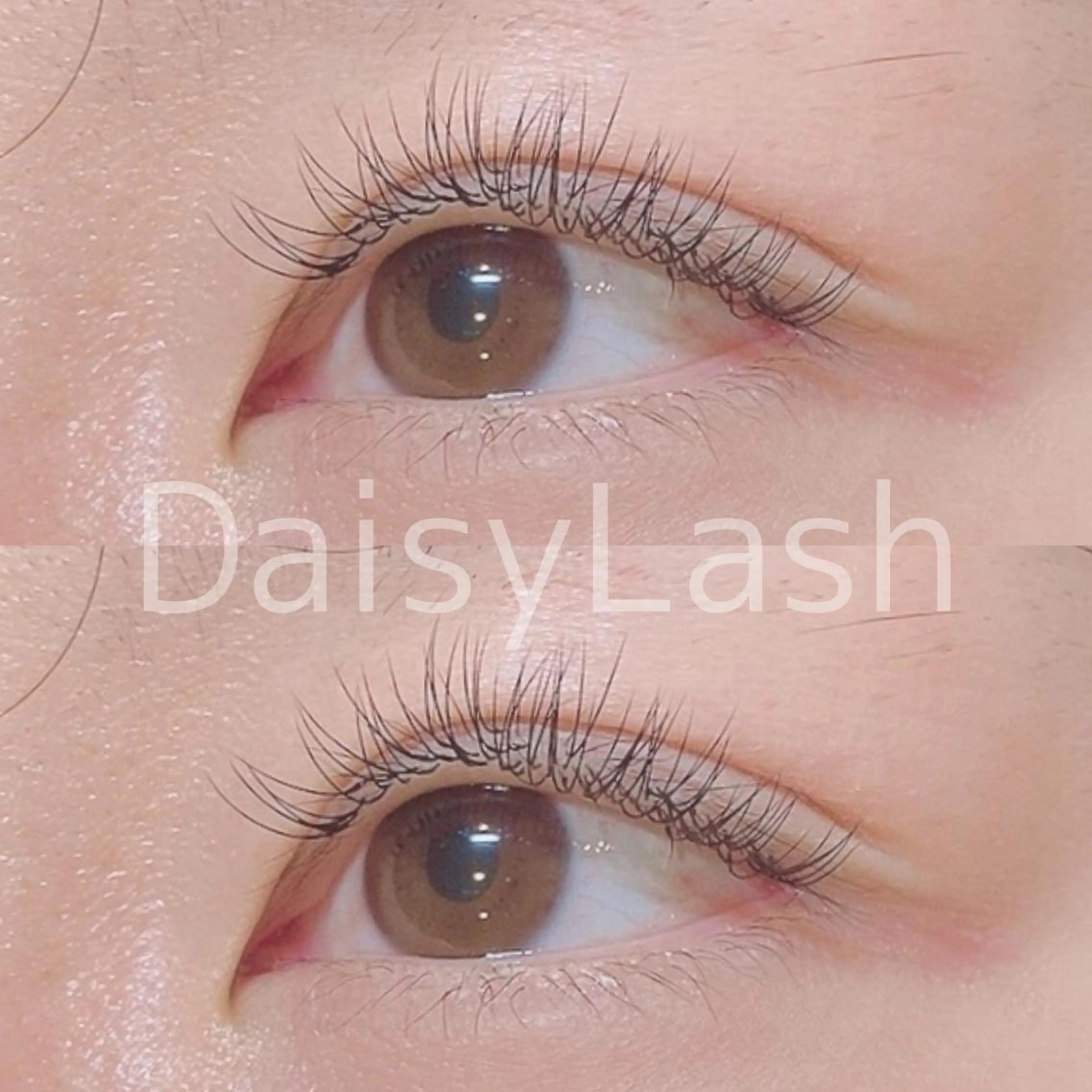 マツエク・マツパ DaisyLash 京橋店のマツエク・マツパデザイン