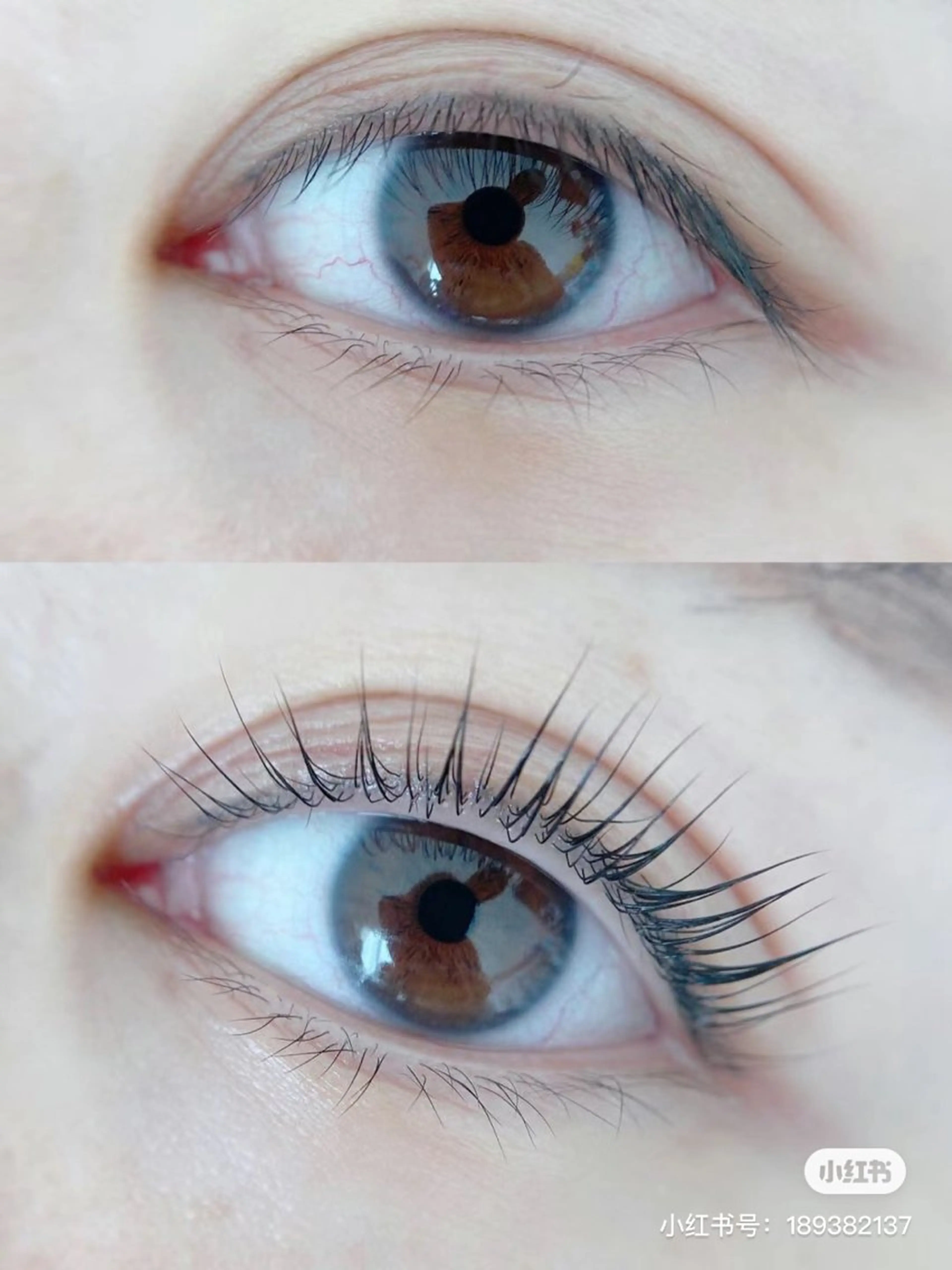 マツエク・マツパ バインドロック フラットラッシュ ナチュラル パリジェンヌラッシュリフト まつげパーマ YK Beauty Salonのマツエク・マツパデザイン