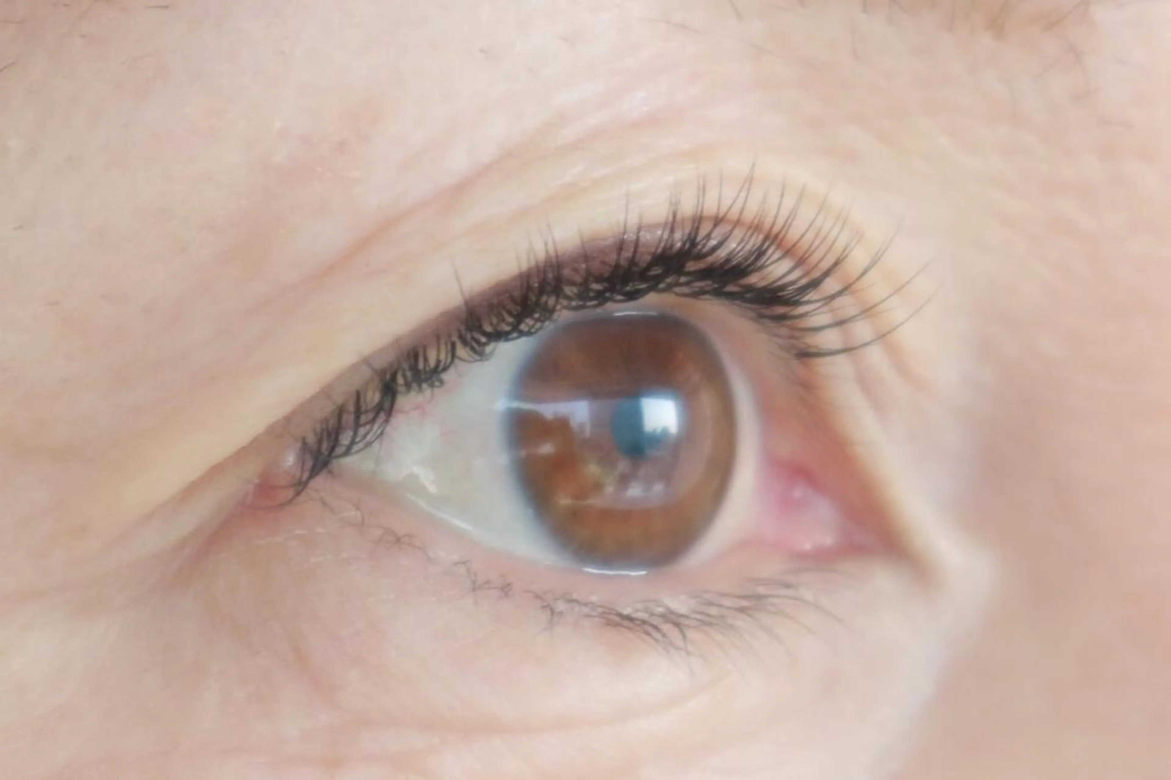 マツエク・マツパ Zina 稲毛海岸 /MAOのマツエク・マツパデザイン