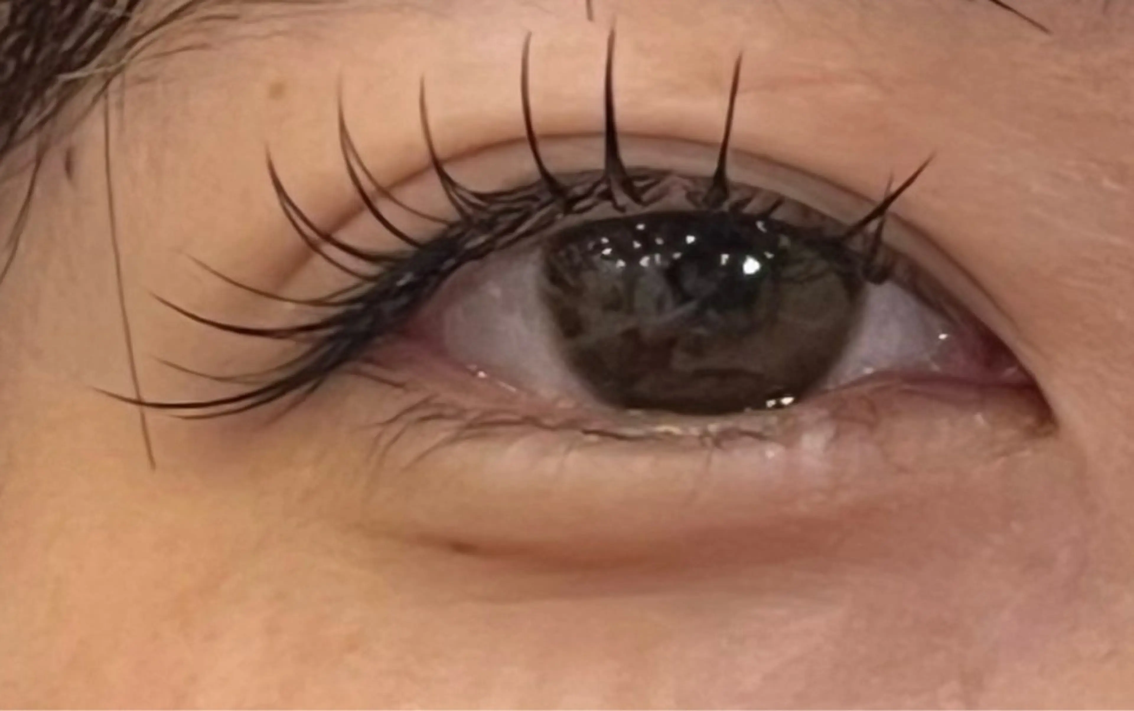 マツエク・マツパ Cカール フラットラッシュ Jカール 🎀Tink  藤沢 🎀堀井愛華のマツエク・マツパデザイン