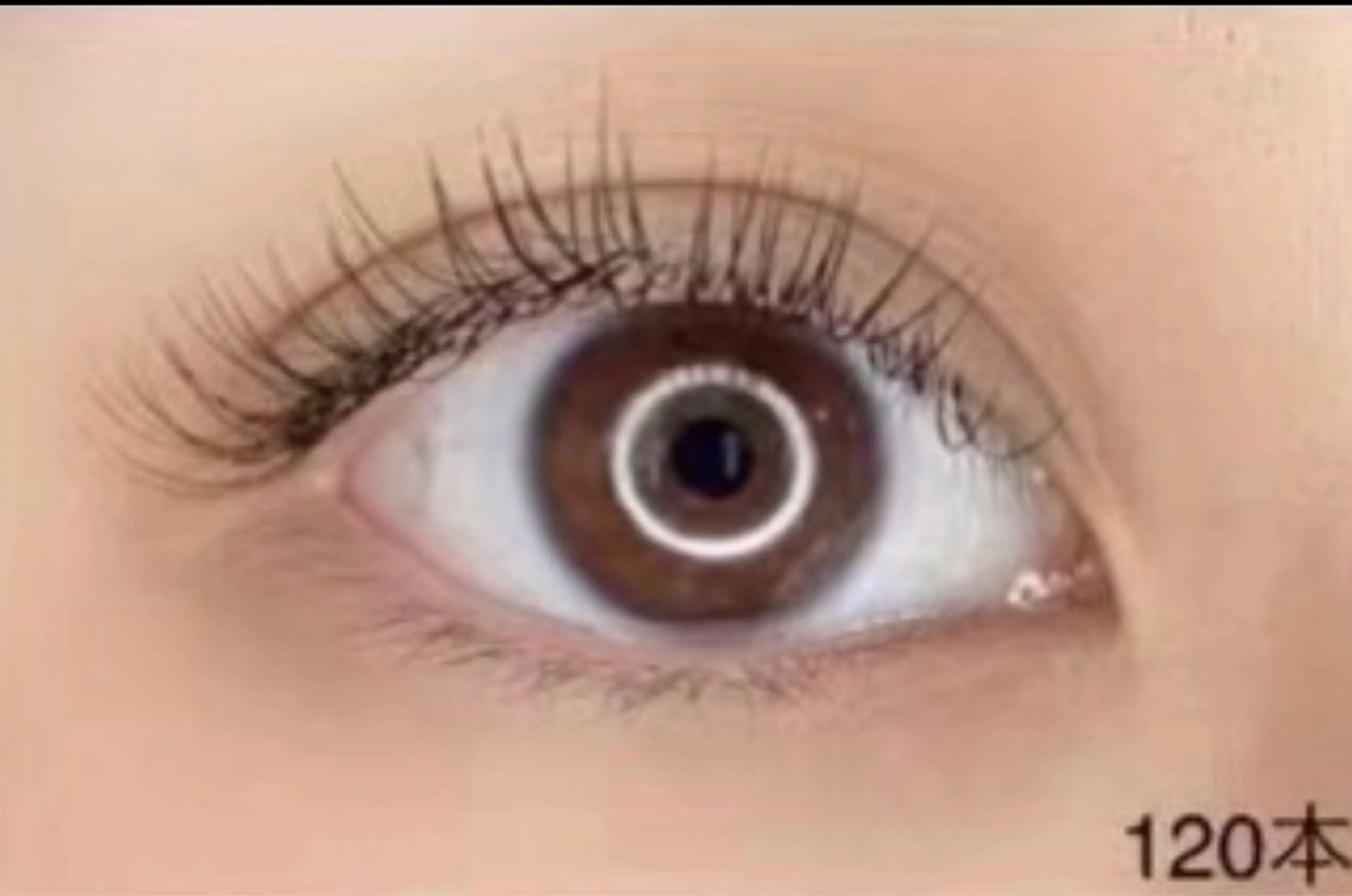 フラットラッシュ140本(土日祝日・オフ・束間仕上げ＋550ずつ)の写真